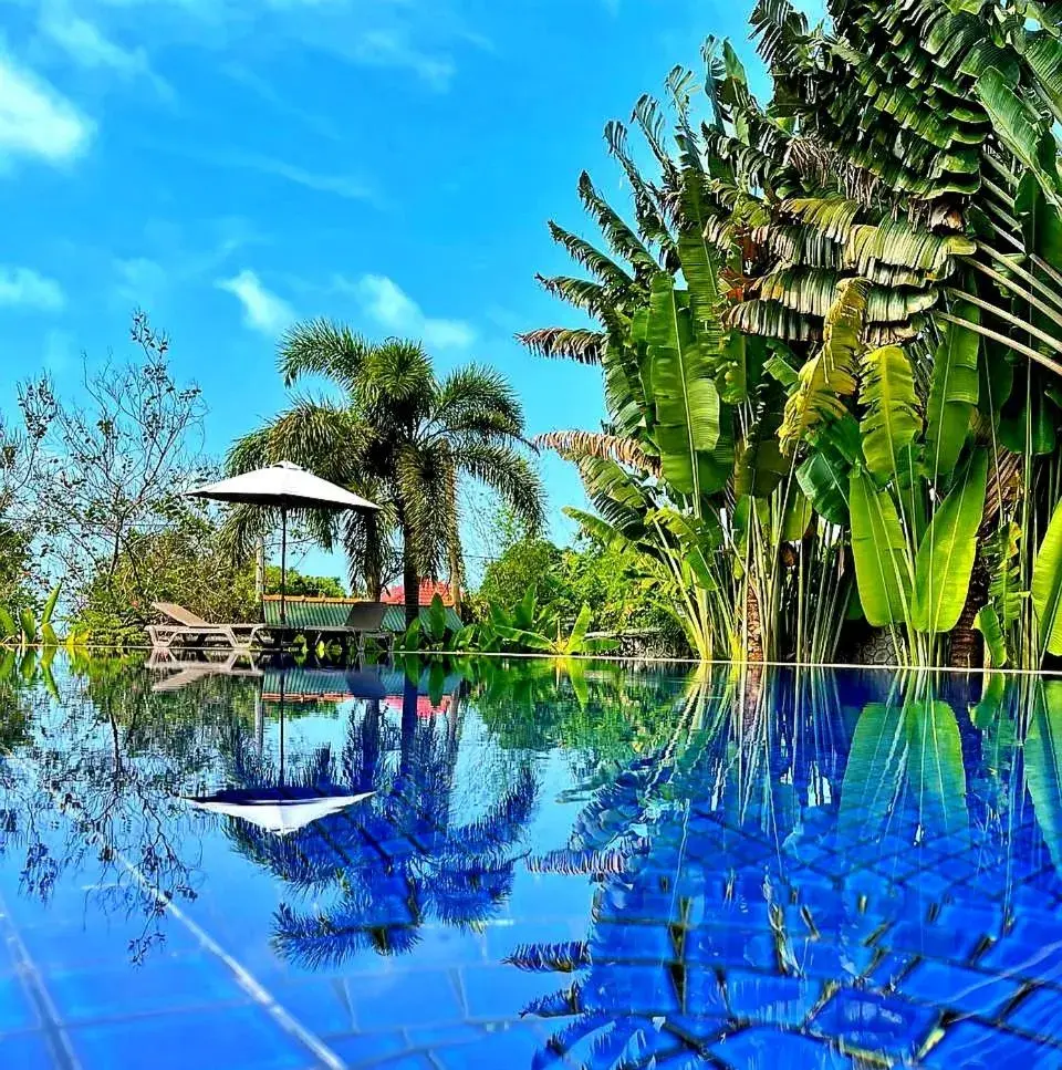 Pool view in Q Bungalows Pool view in Q Bungalows