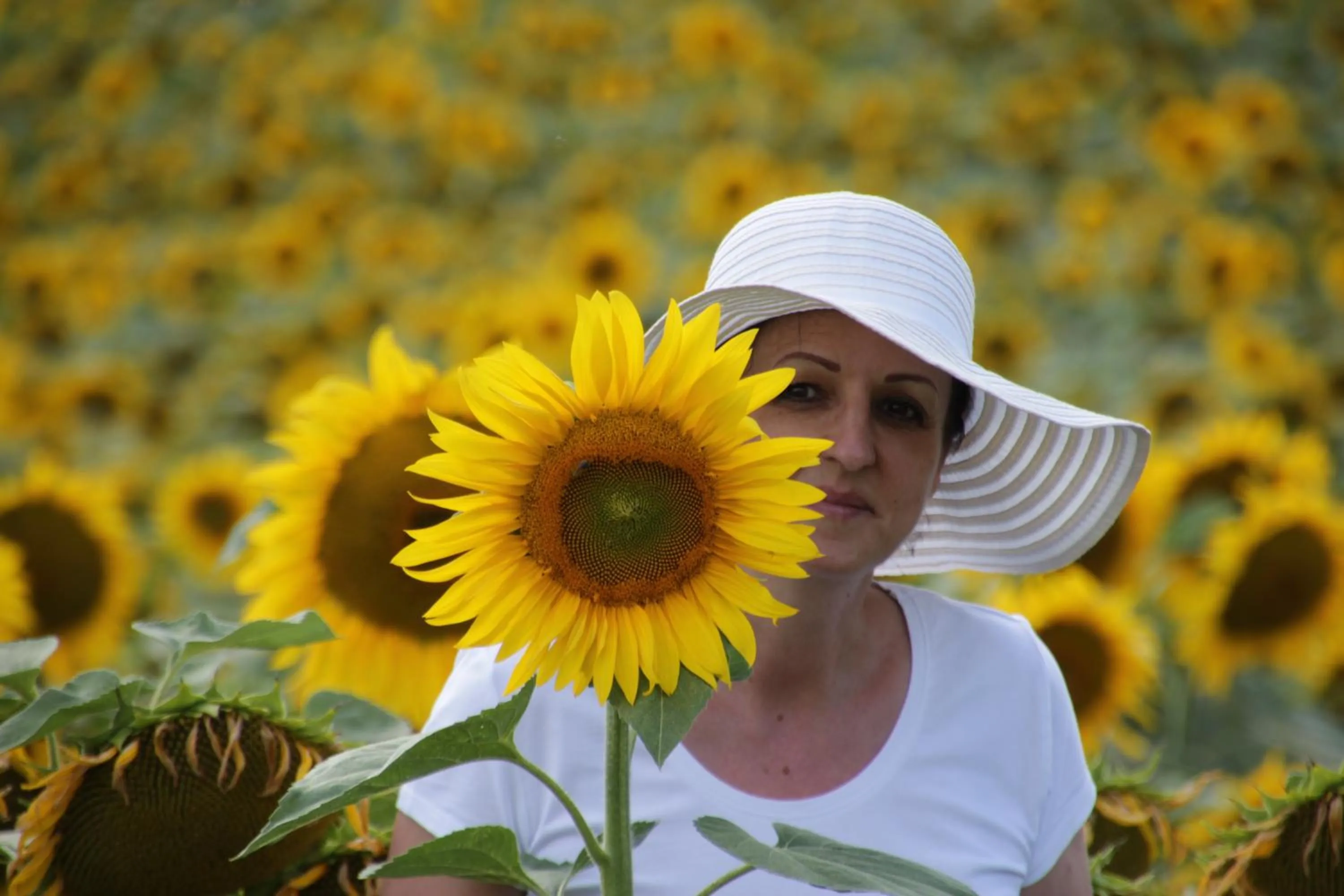 Neighbourhood in Tó Wellness Hotel