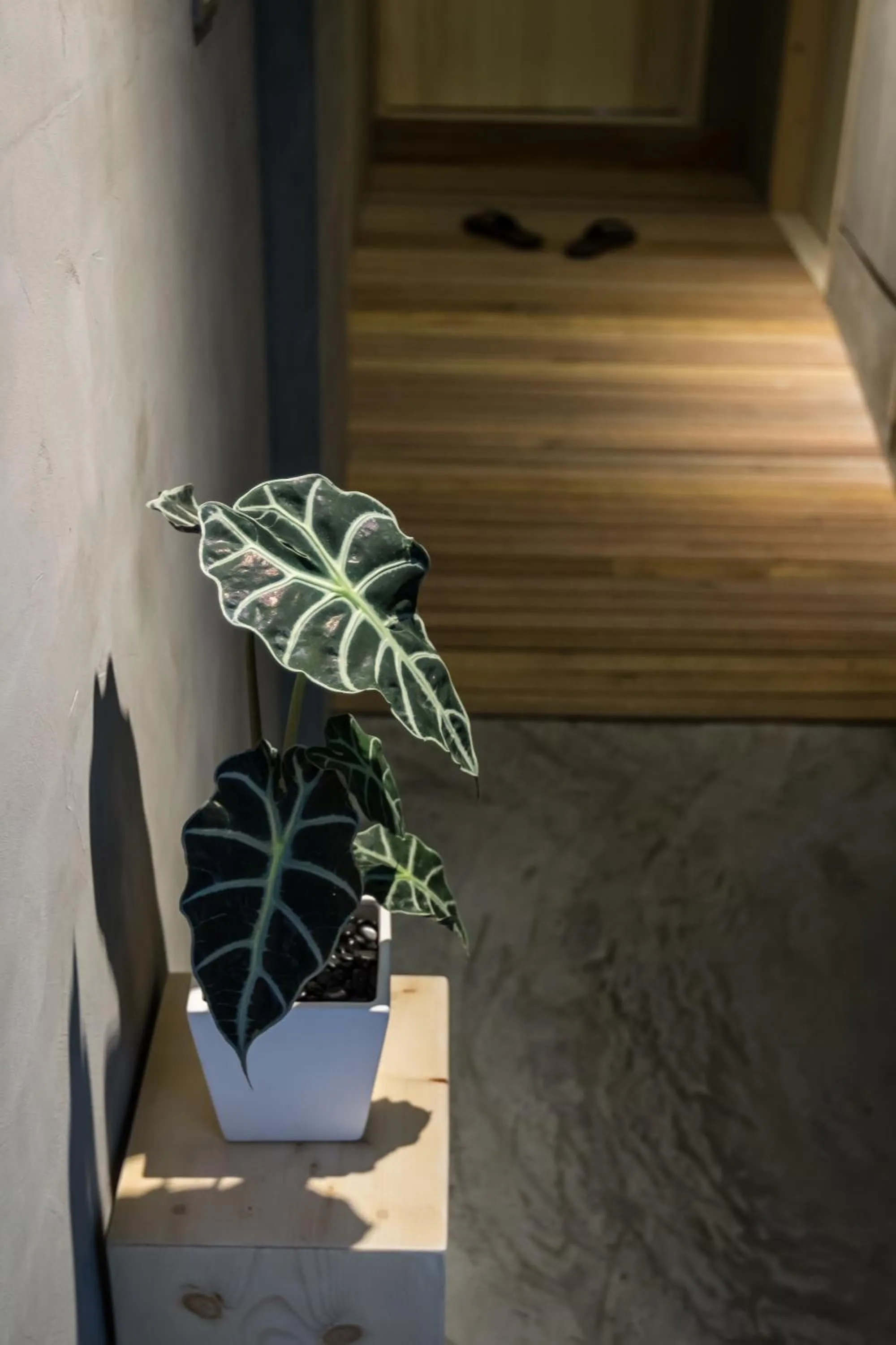 Property building in Shaoguang 188 日月潭勺光188