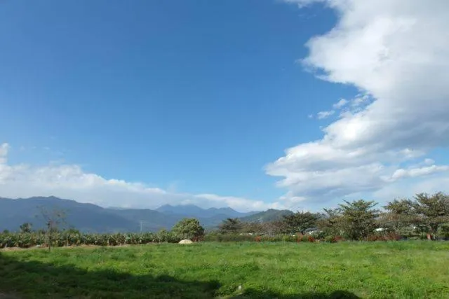 View (from property/room) in Rose Cottage B&B