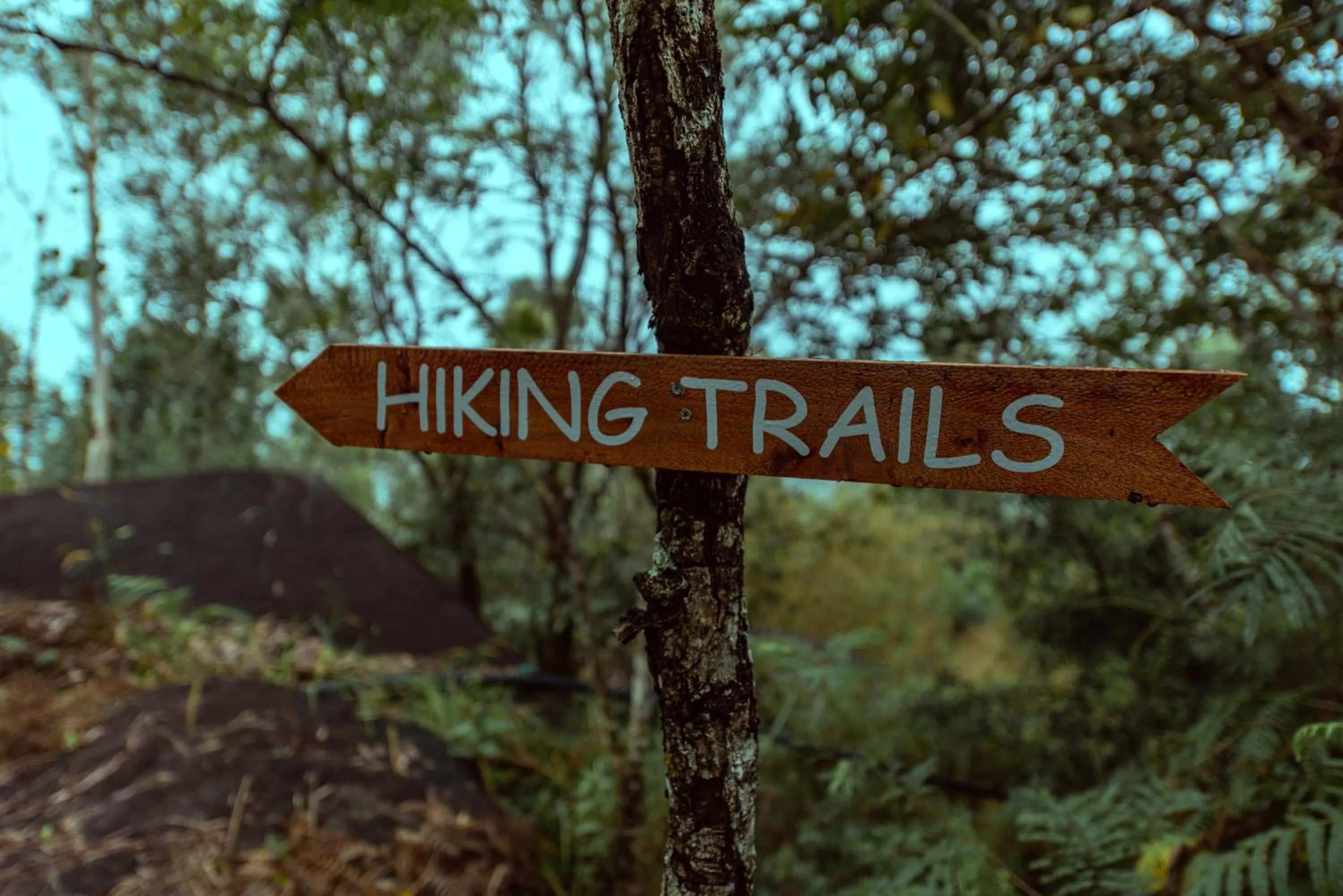 Logo/Certificate/Sign in Mount Xanadu Resorts