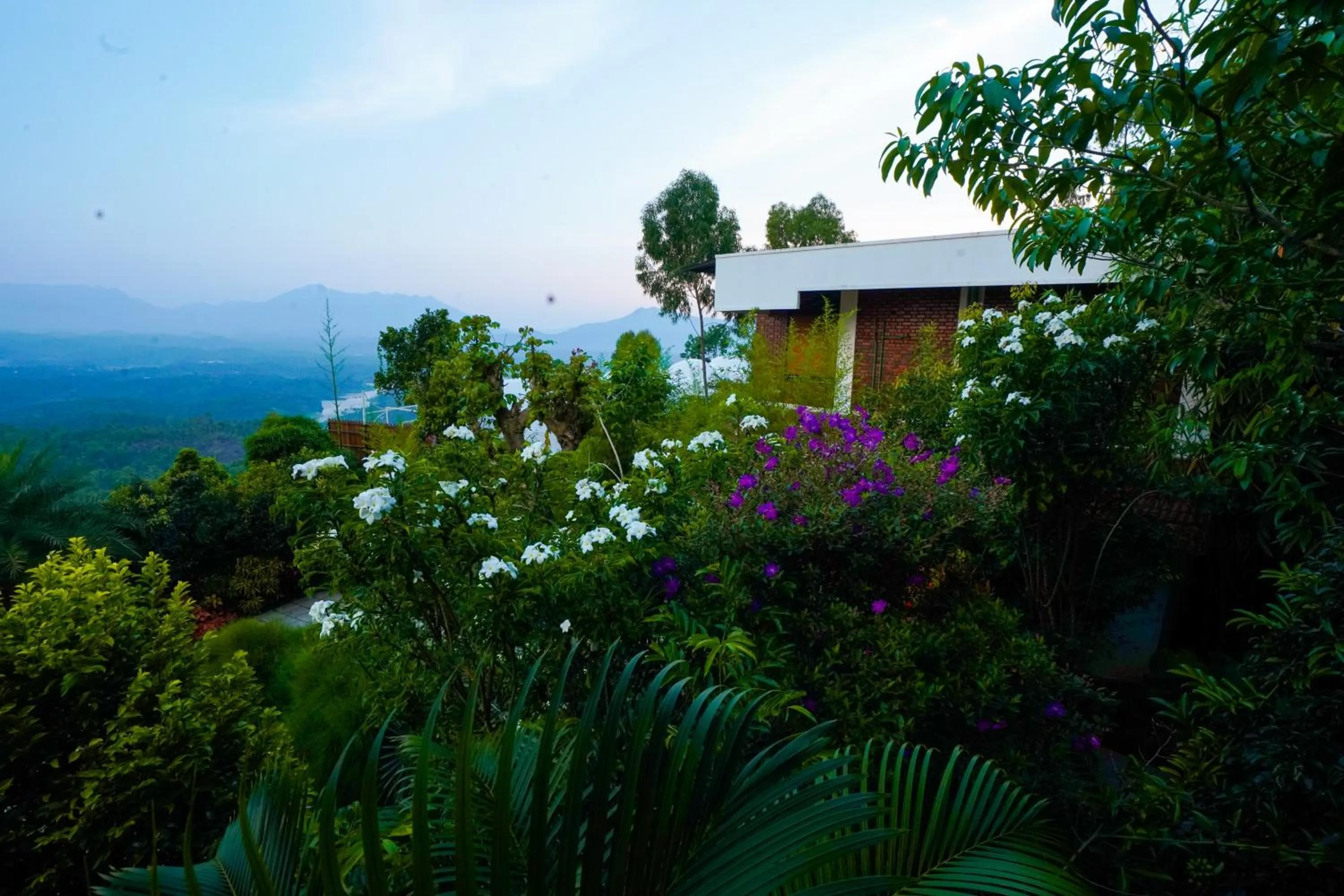 Garden in Mount Xanadu Resorts