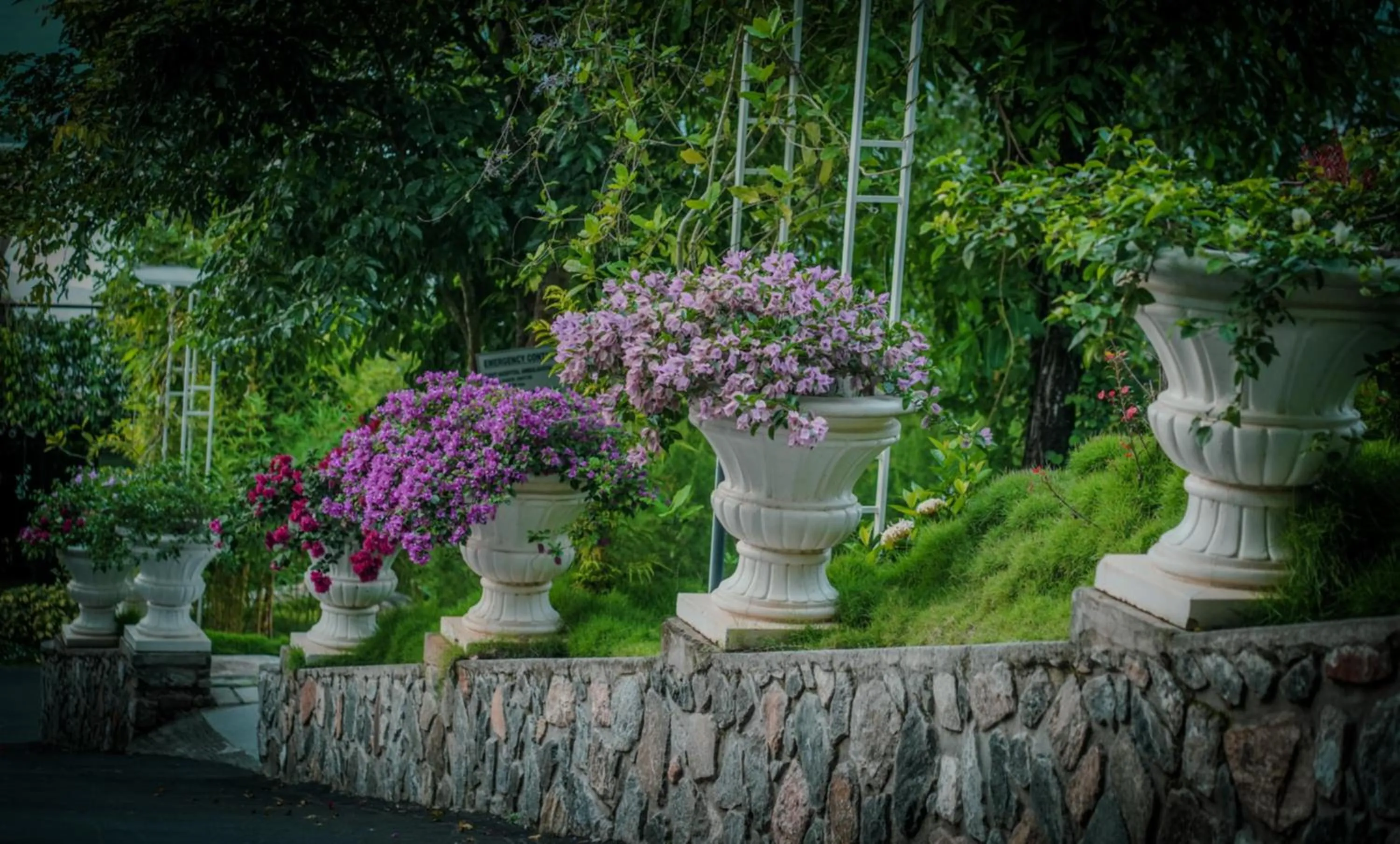 Garden in Mount Xanadu Resorts