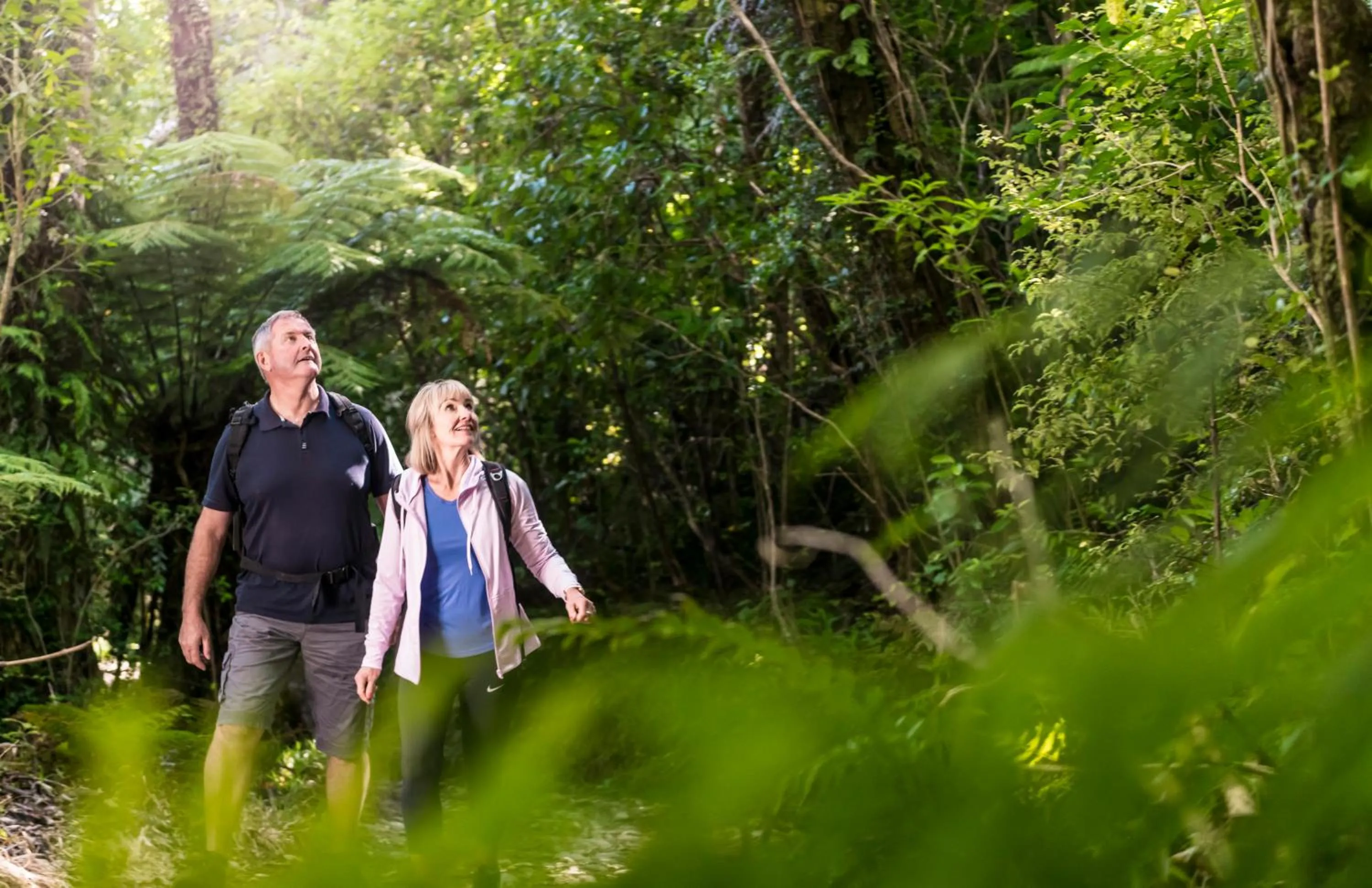 Hiking in Furneaux Lodge