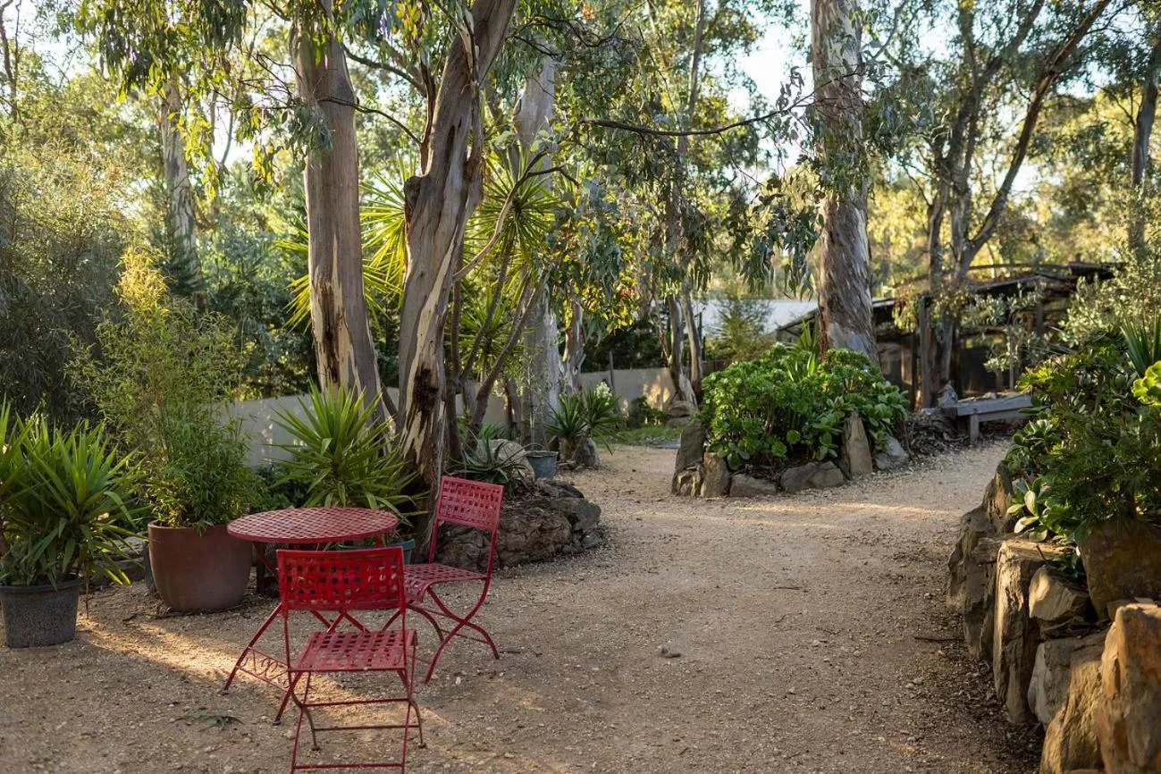 Garden in be&be castlemaine