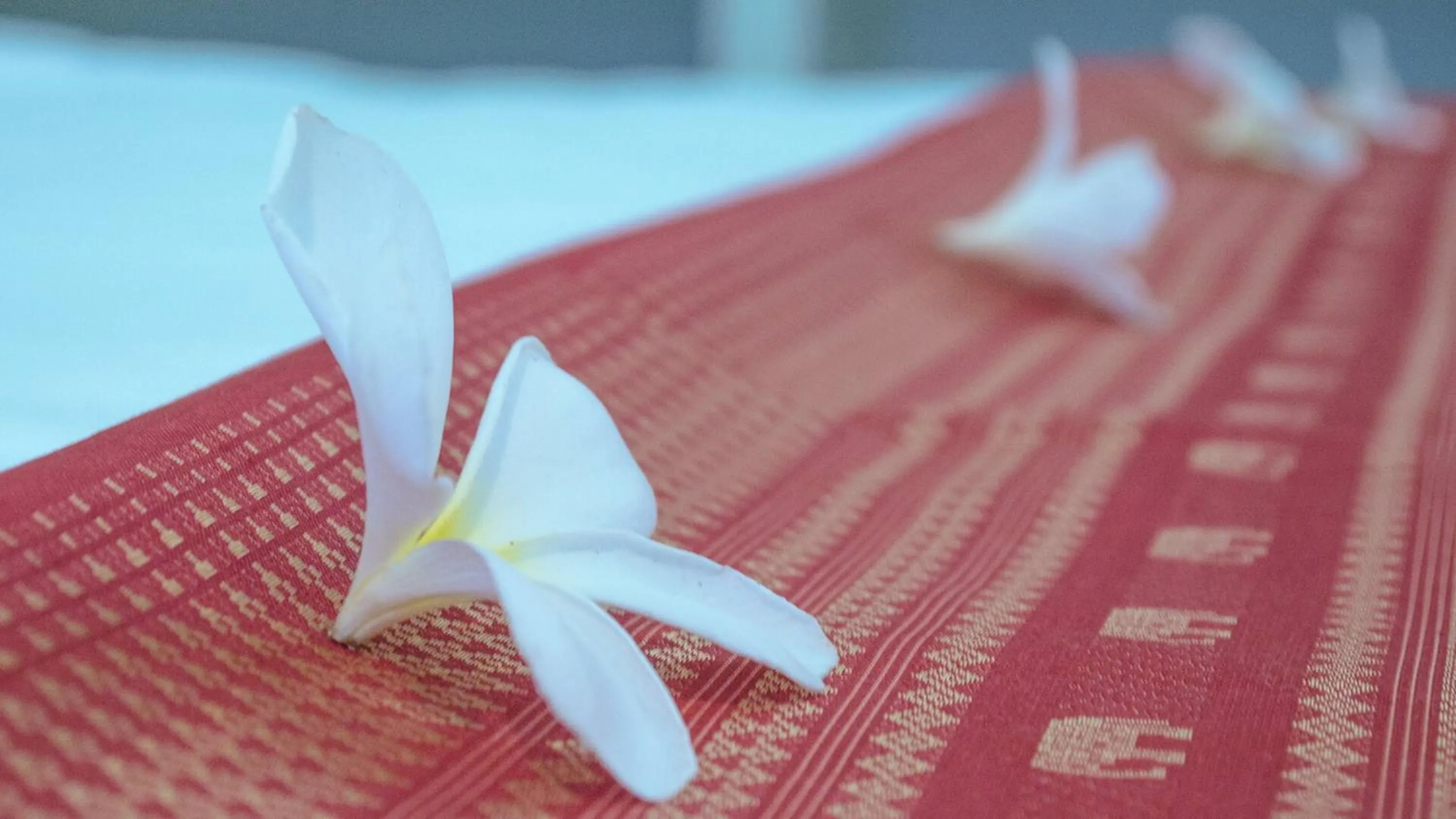 Decorative detail in Hak Boutique Hotel