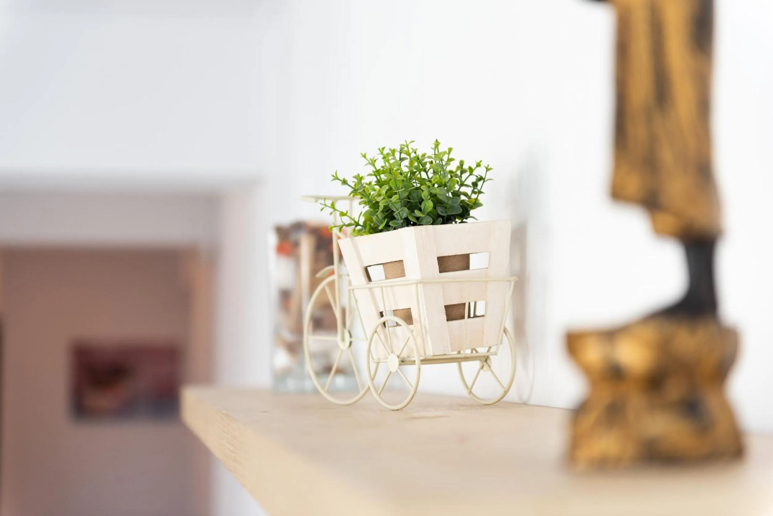 Decorative detail in Lujerului Studio