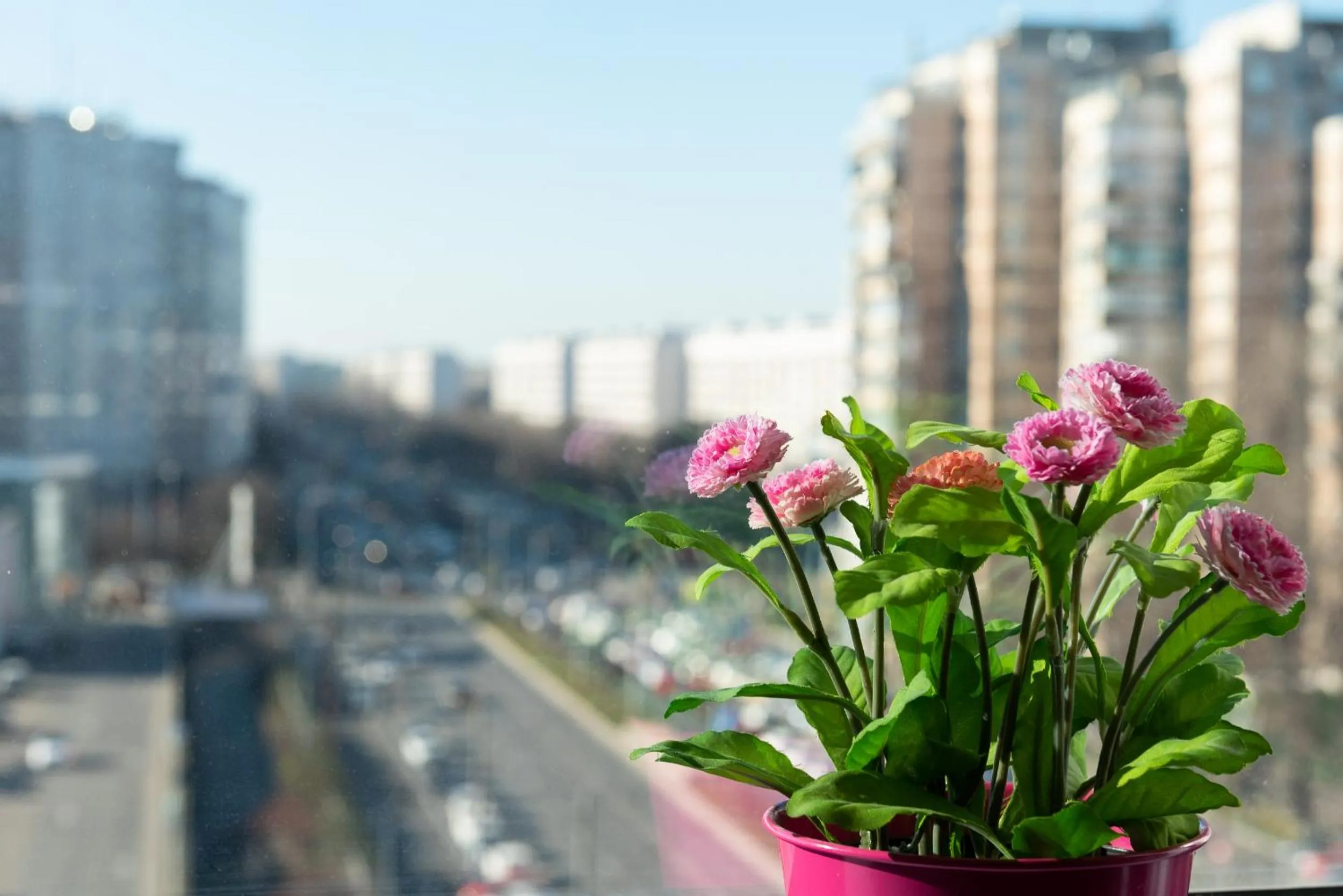 Balcony/Terrace in Lujerului Studio
