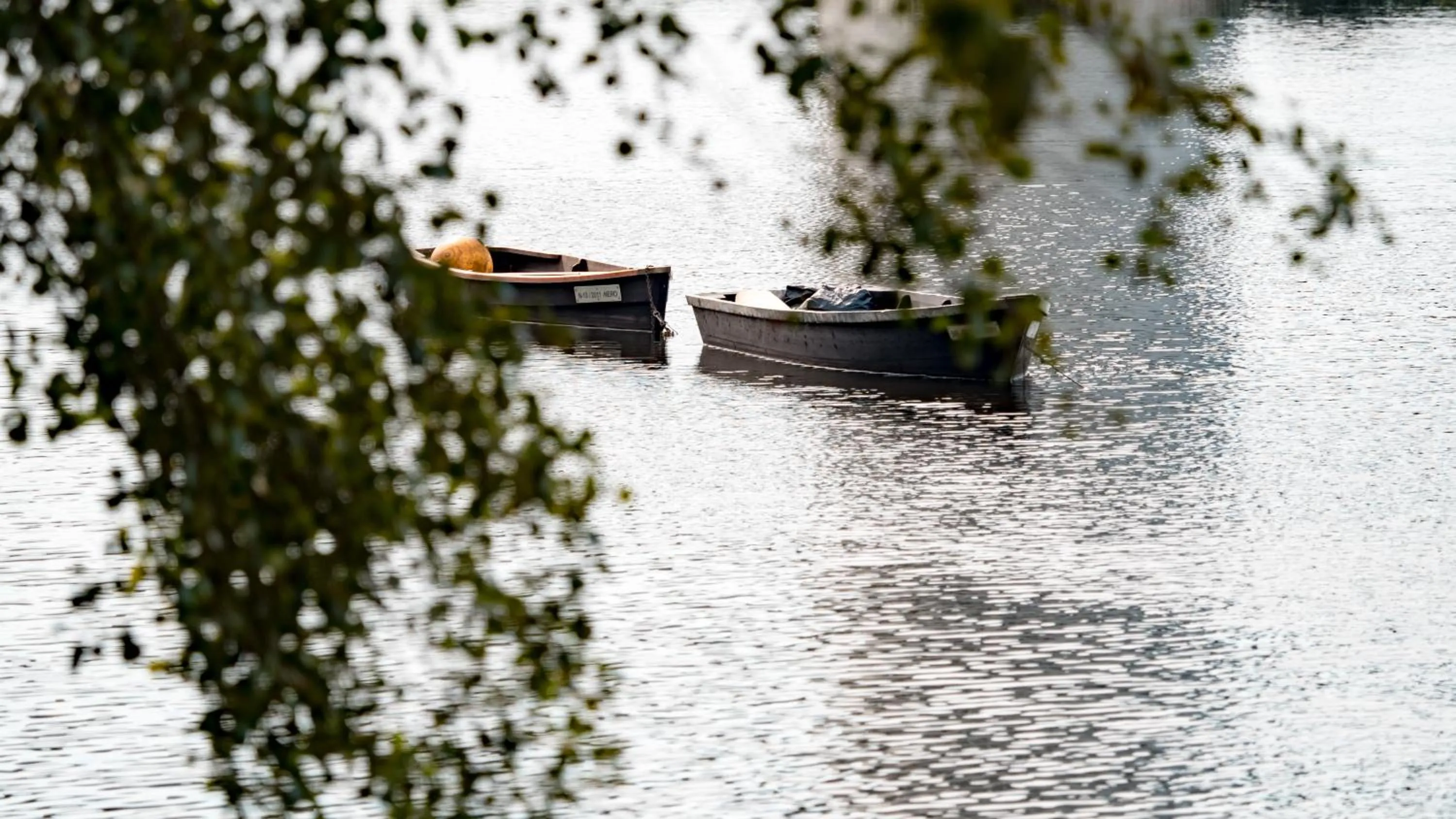Natural landscape in Hotel Império do Norte