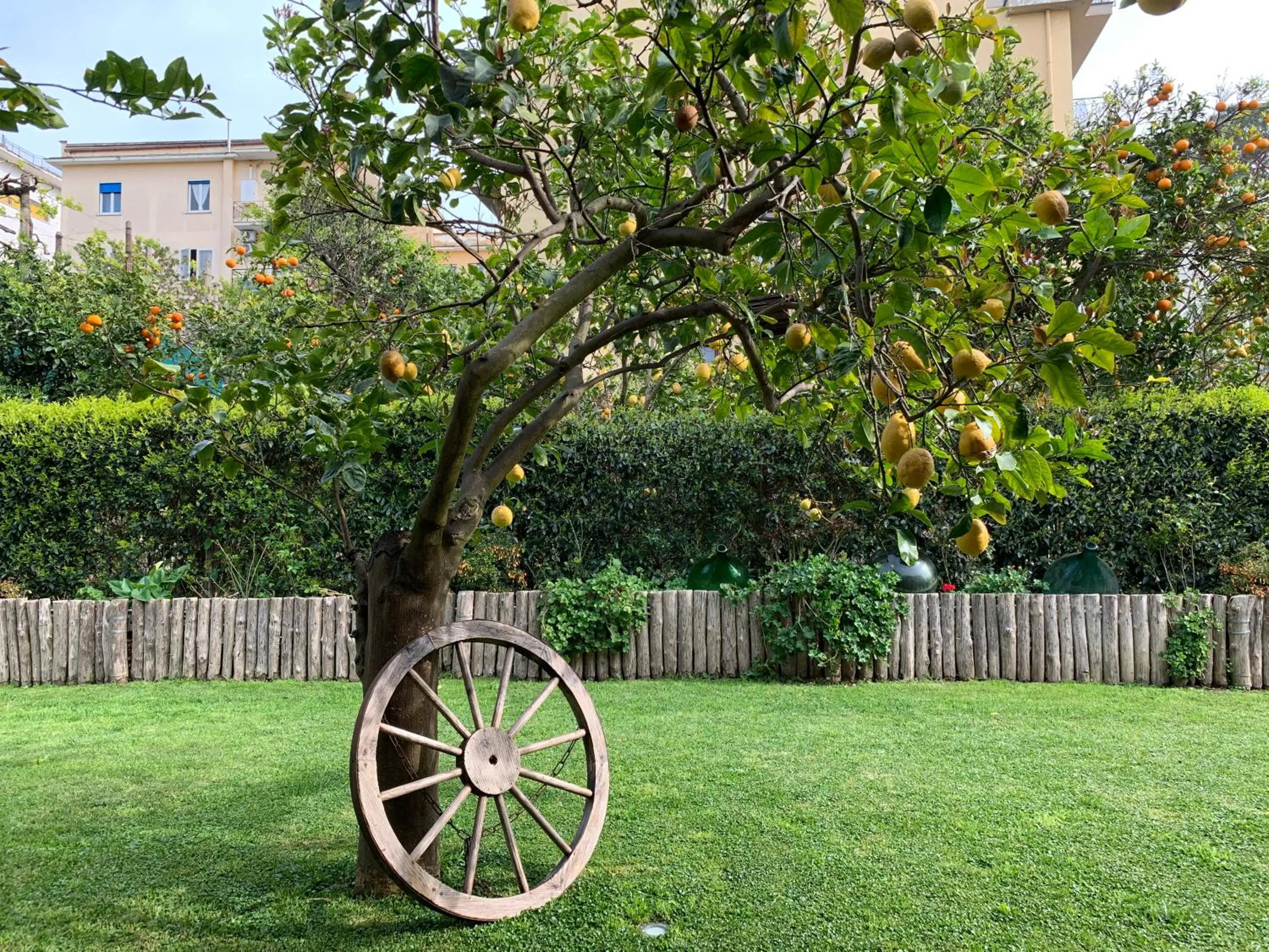 Garden in Giardino Sorrentino