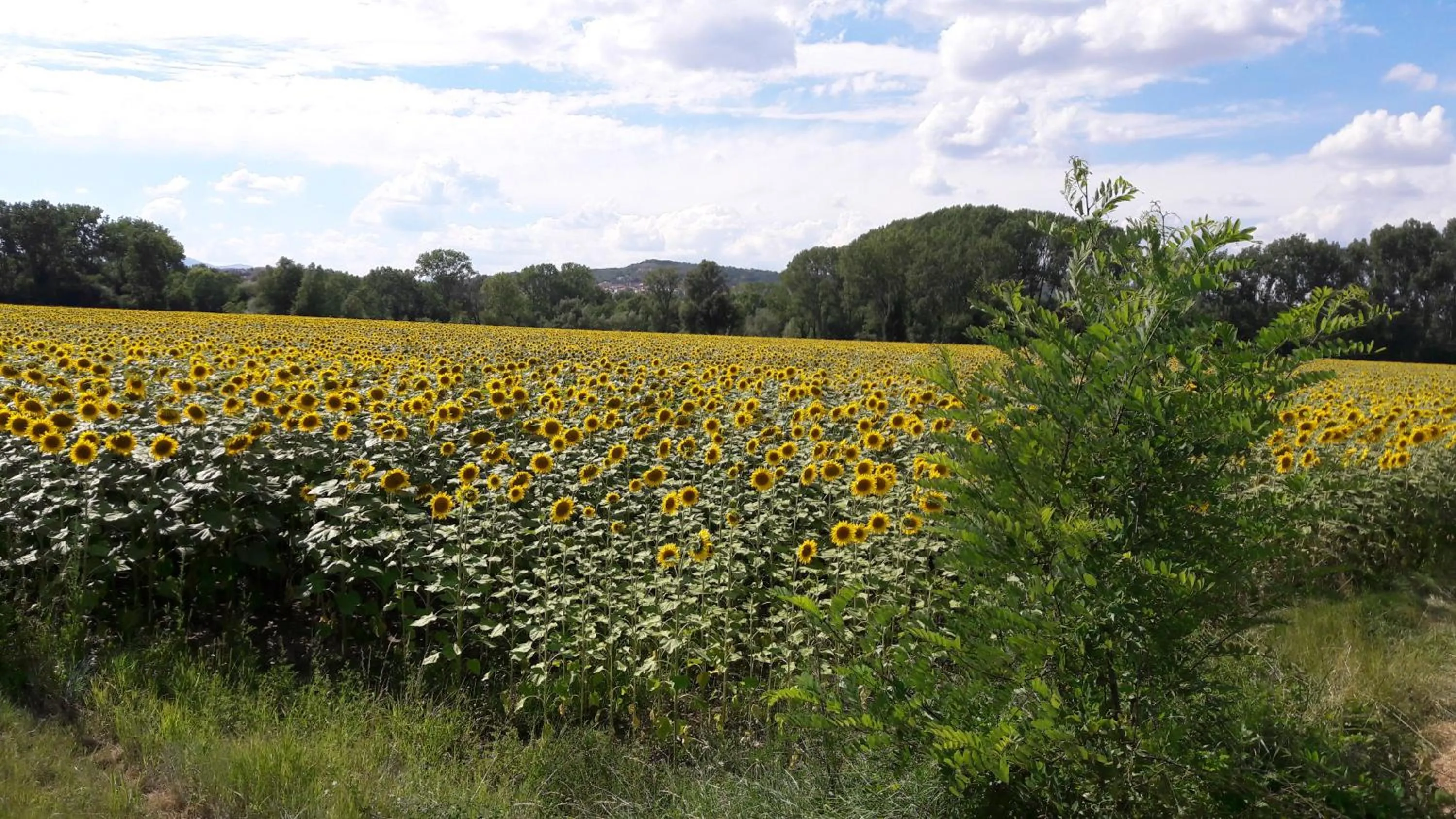 chambre chez mamie do