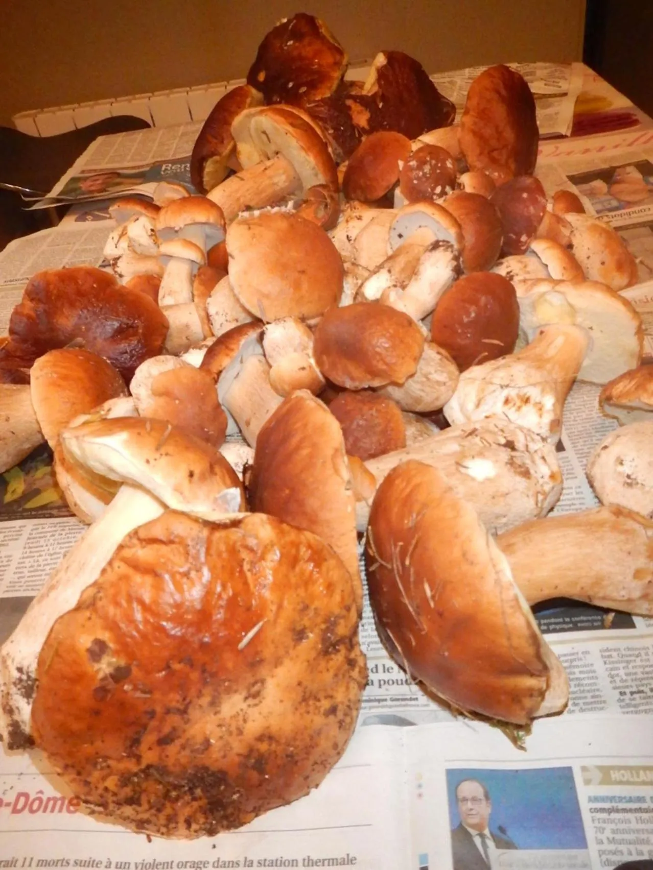 Natural landscape in chambre chez mamie do