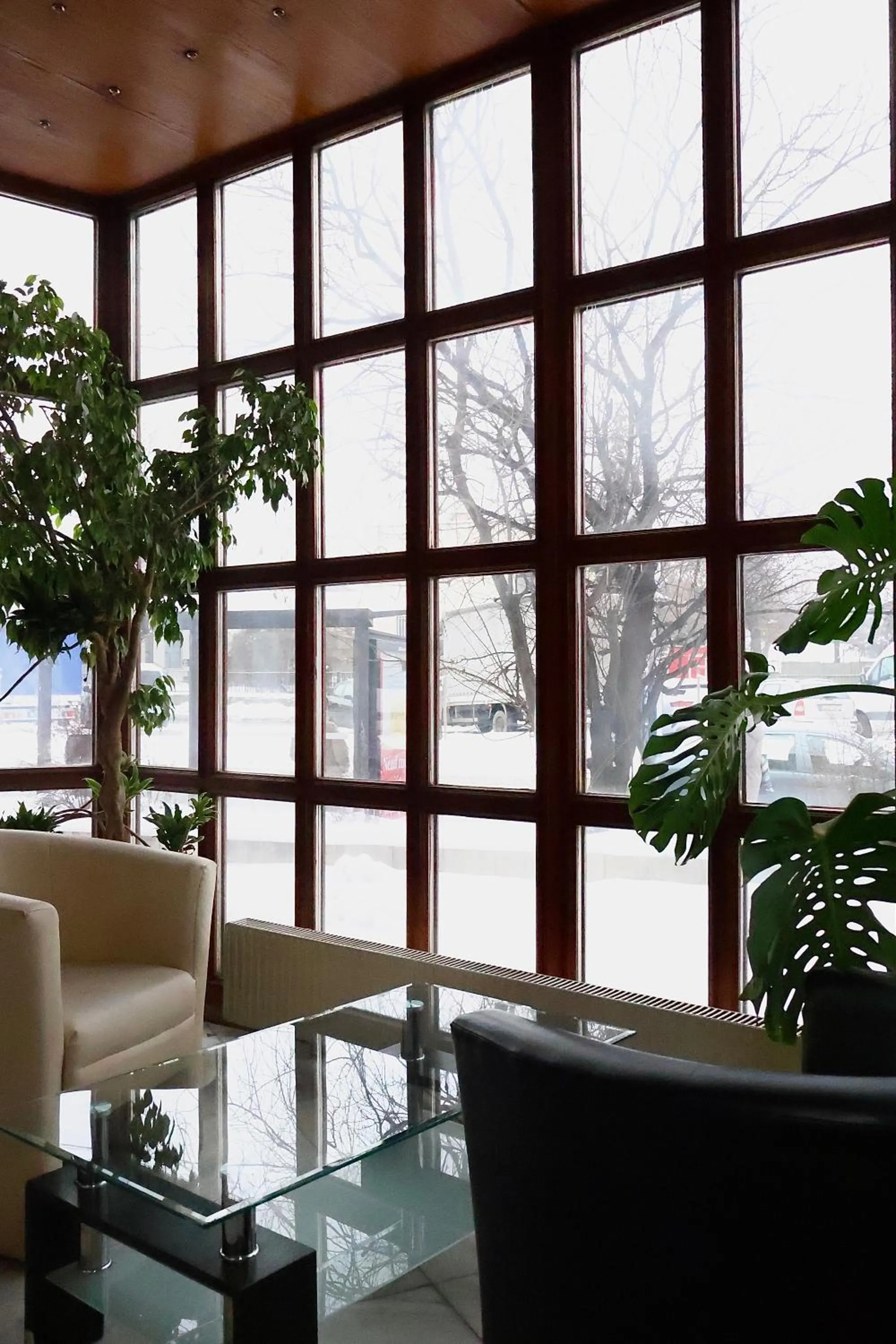 View (from property/room) in Hotel Amadeus