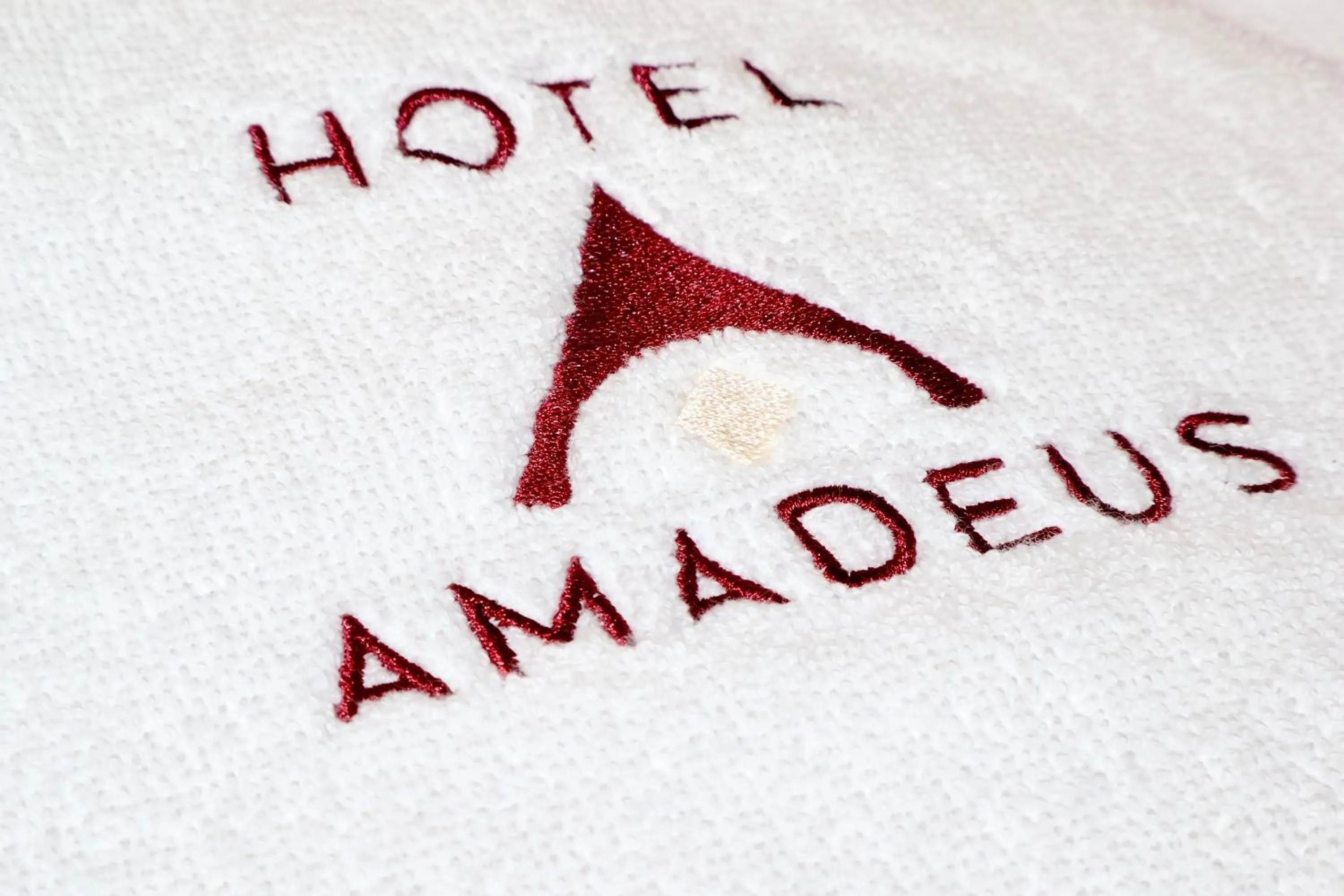 Property logo or sign in Hotel Amadeus