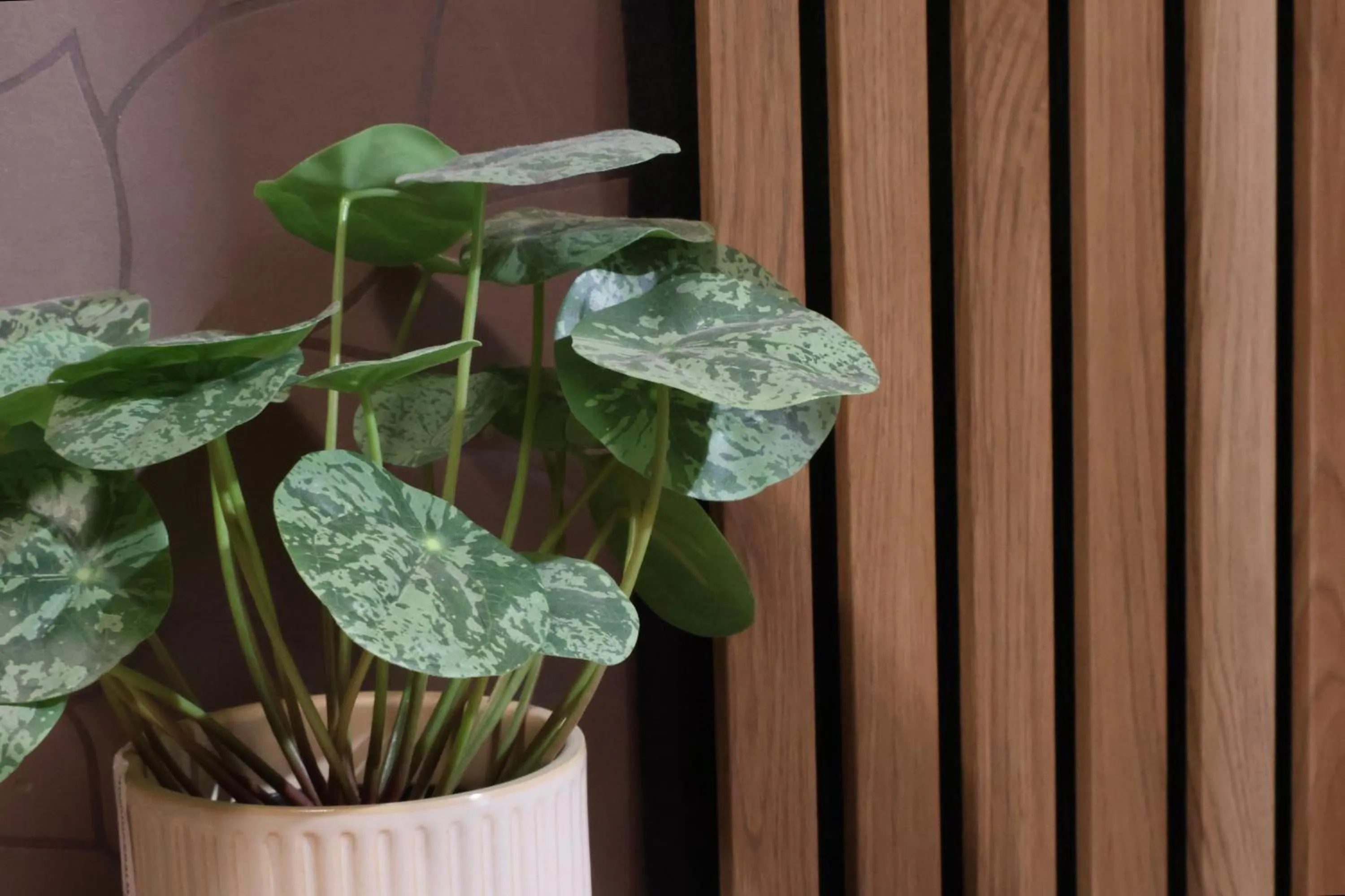 Decorative detail in Hotel Amadeus