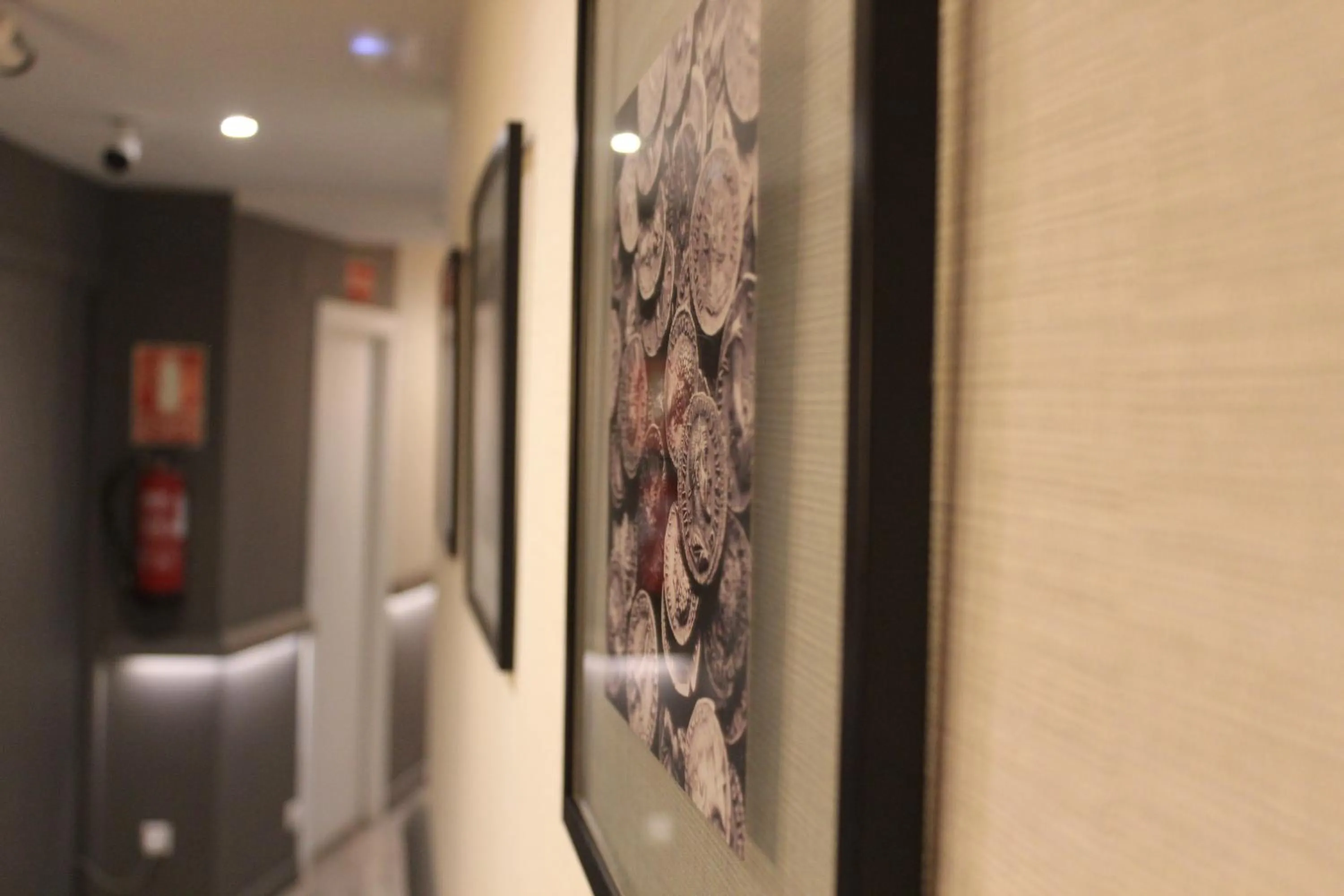 Area and facilities in Hotel Boutique Teatro Romano