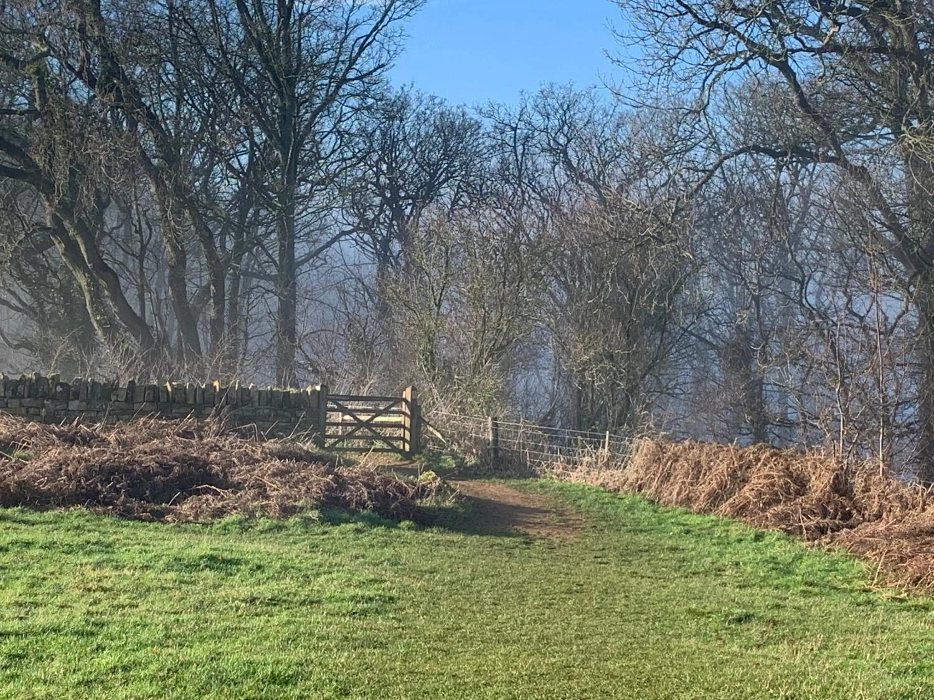 Neighbourhood in Little Norton Mill