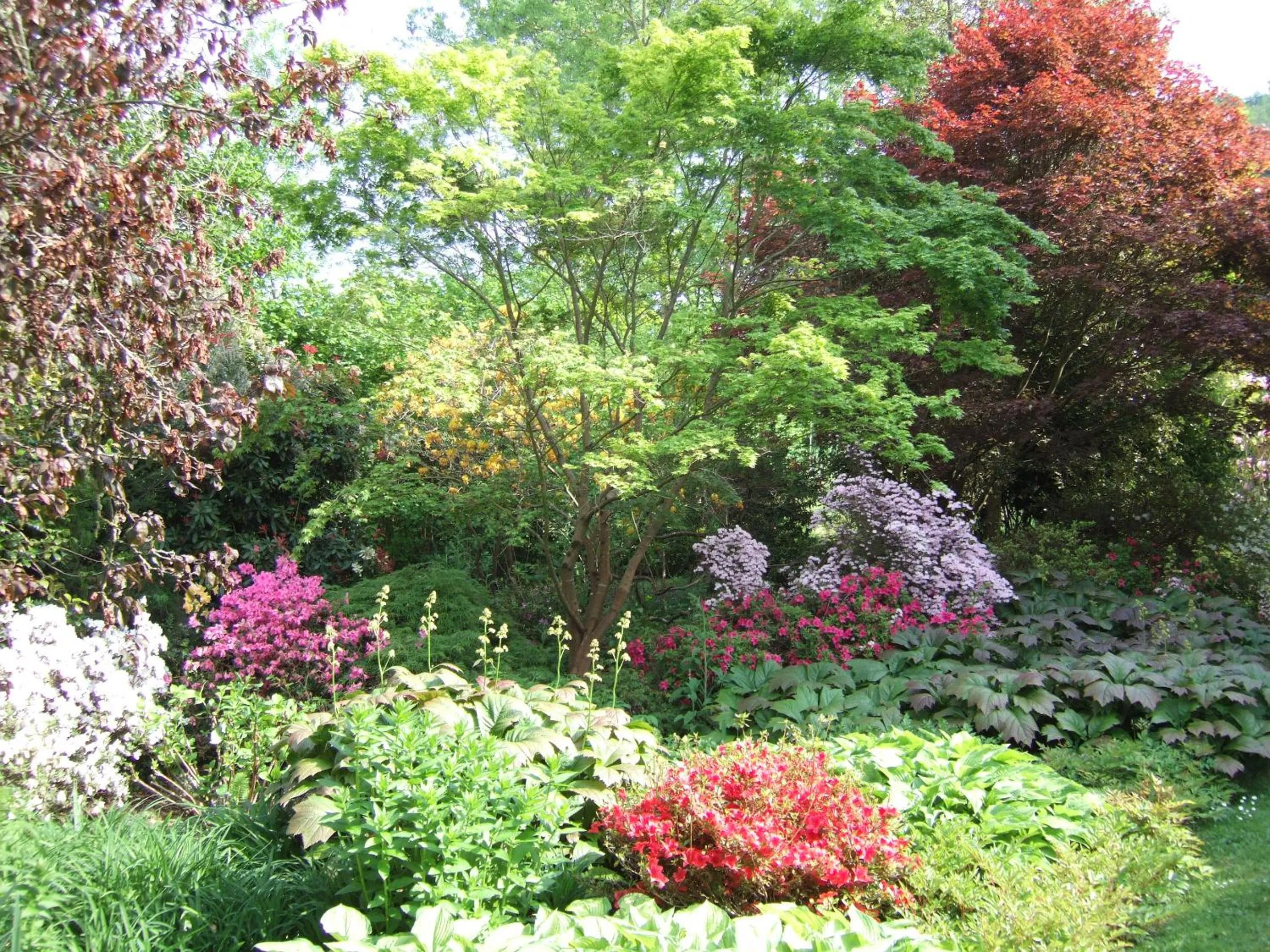 Garden in Little Norton Mill