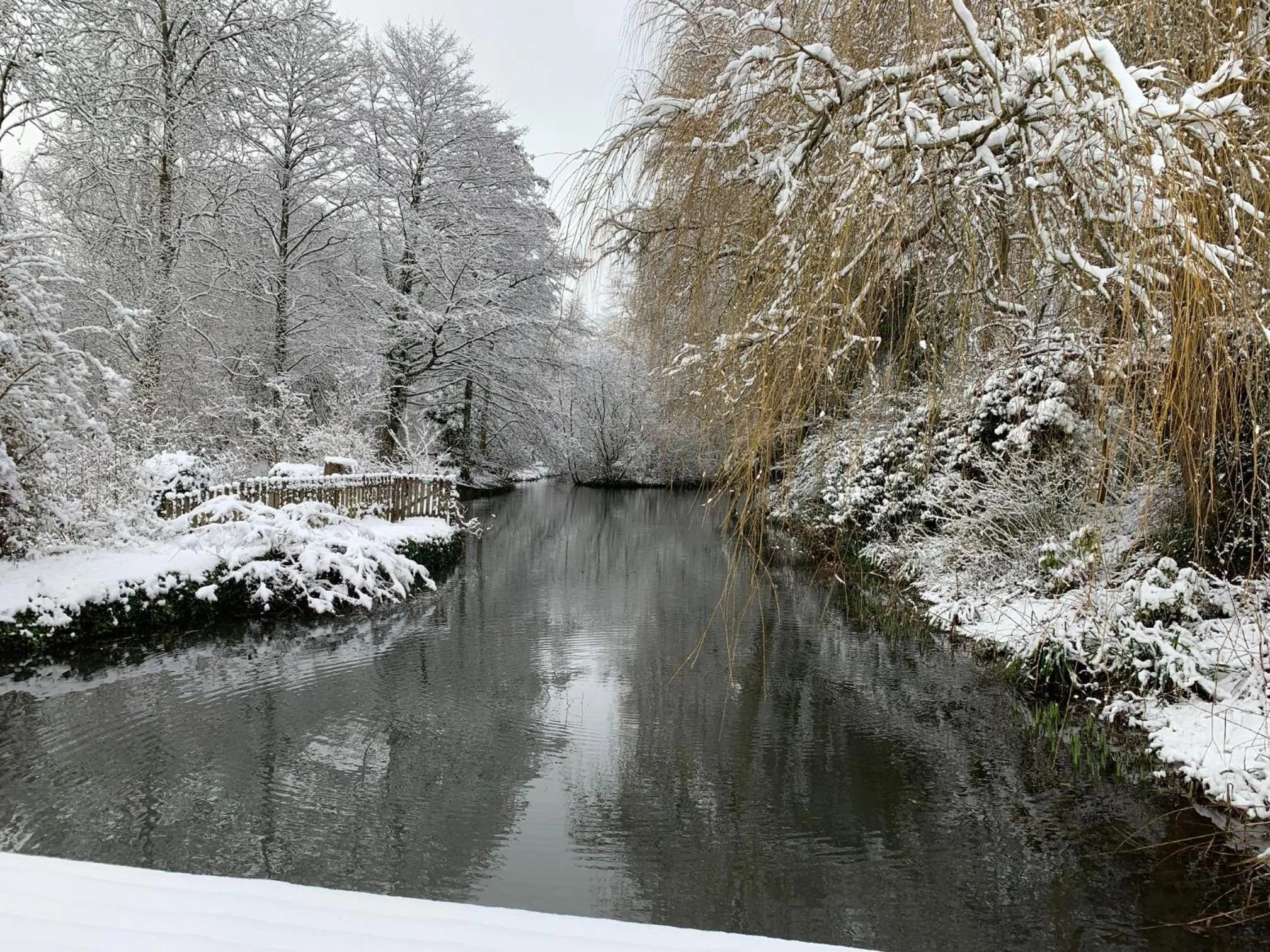 Lake view in Little Norton Mill