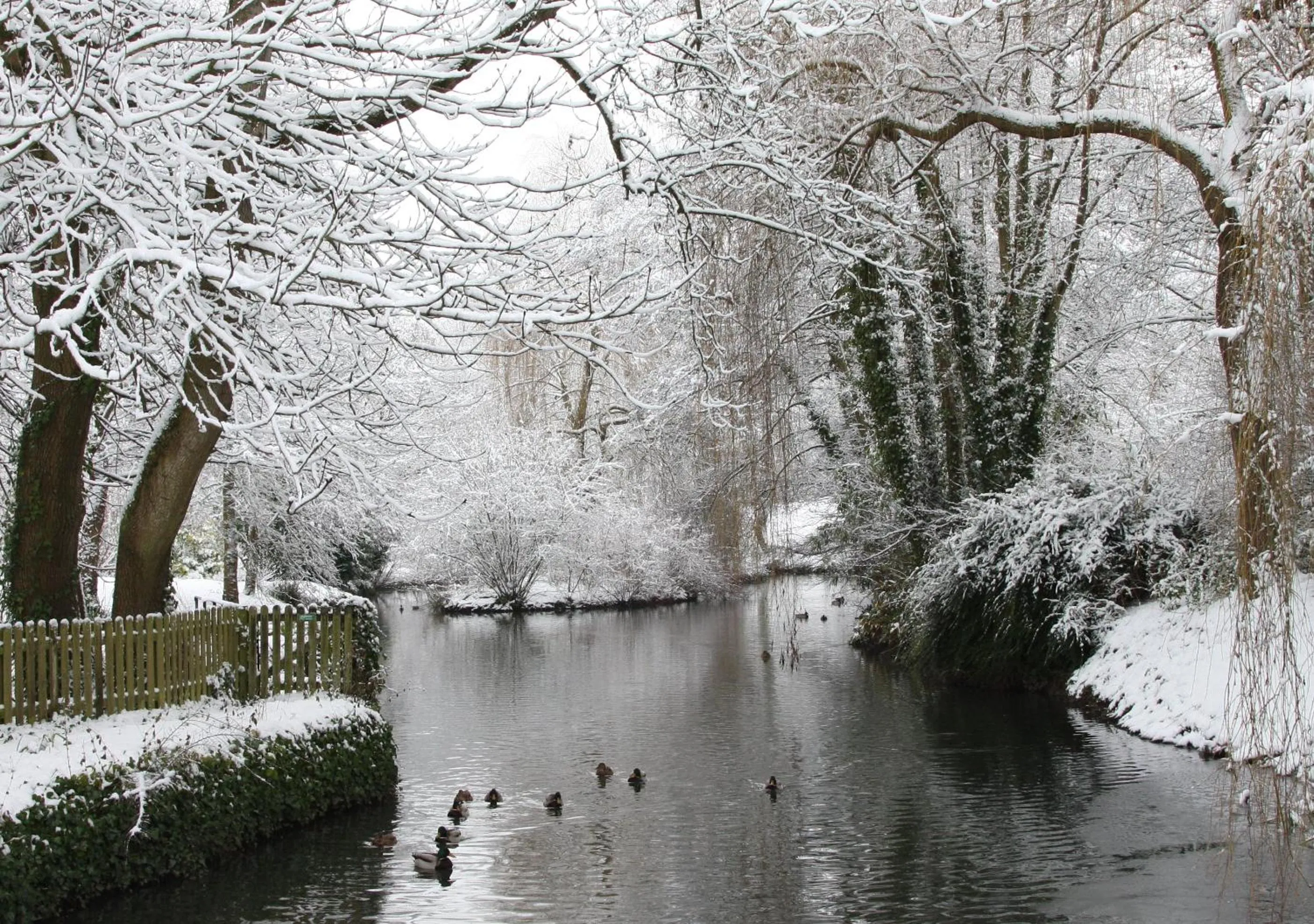 Lake view in Little Norton Mill