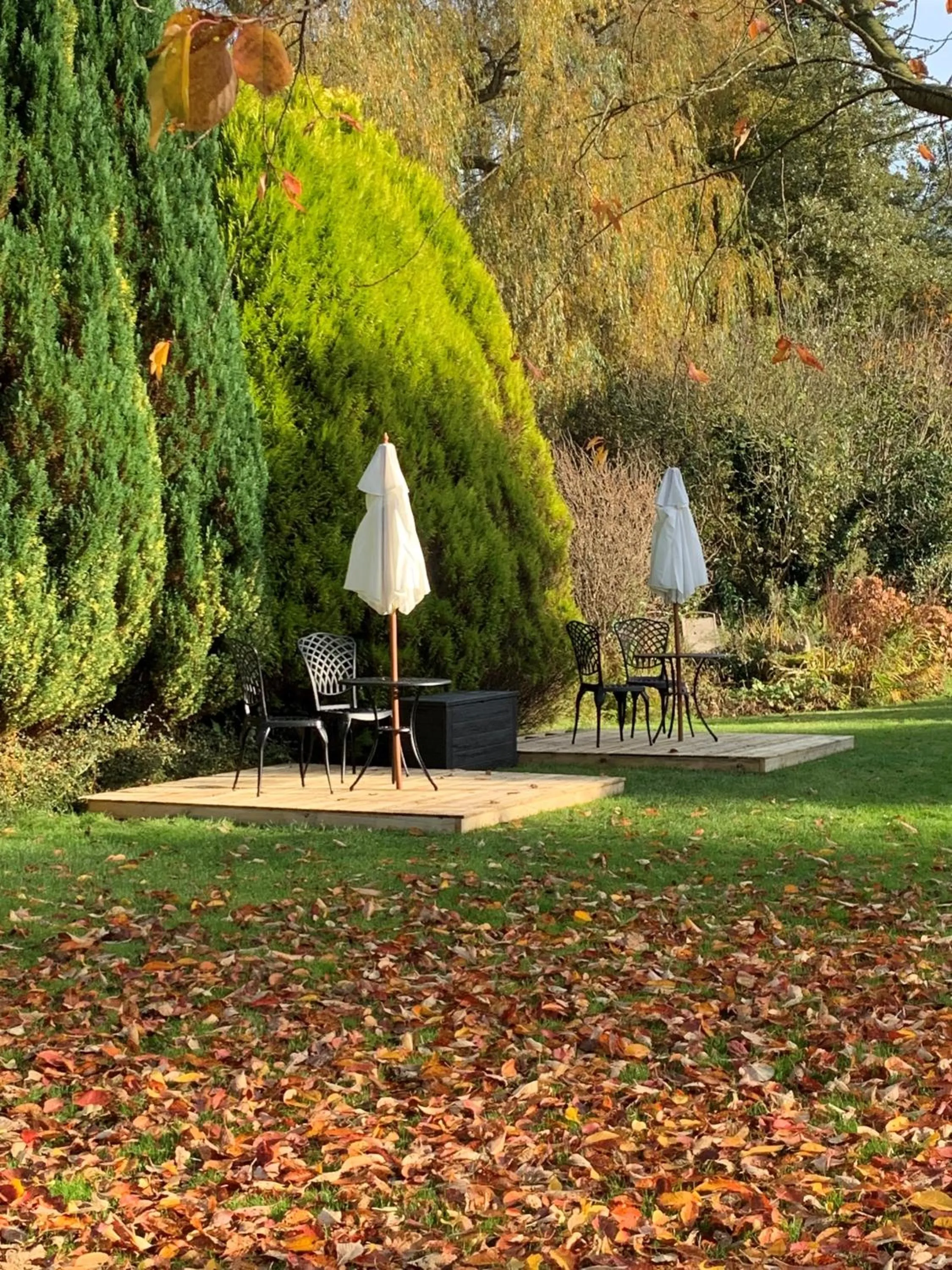 Garden in Little Norton Mill