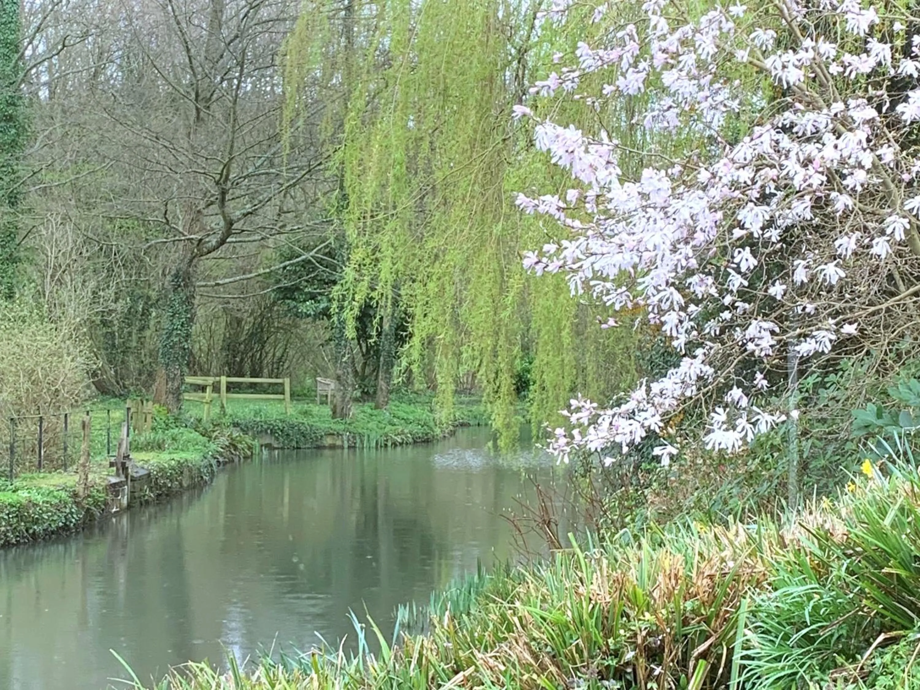 Lake view in Little Norton Mill