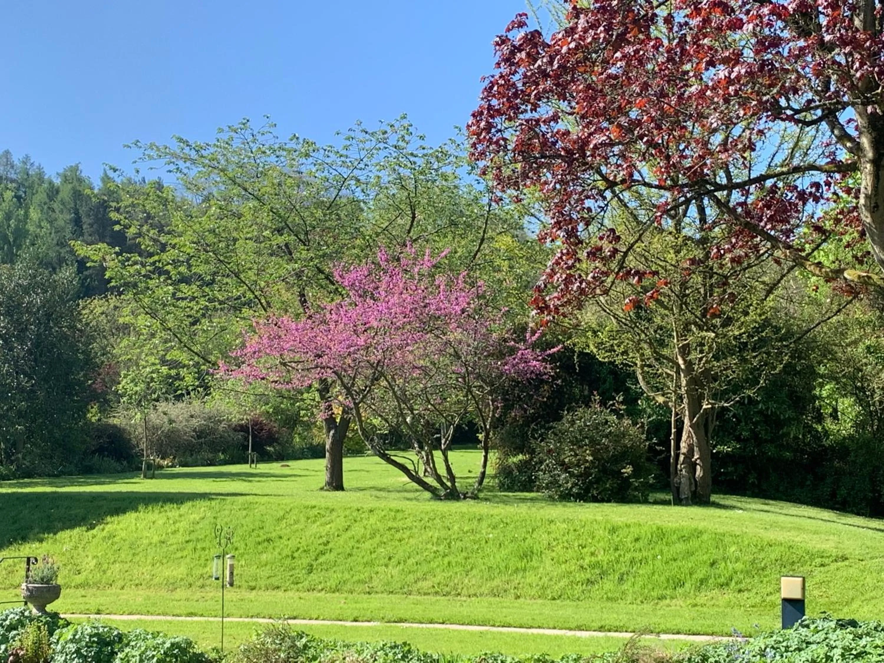 Garden view in Little Norton Mill