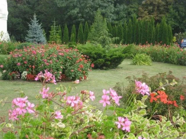 Garden in Barokk Hotel