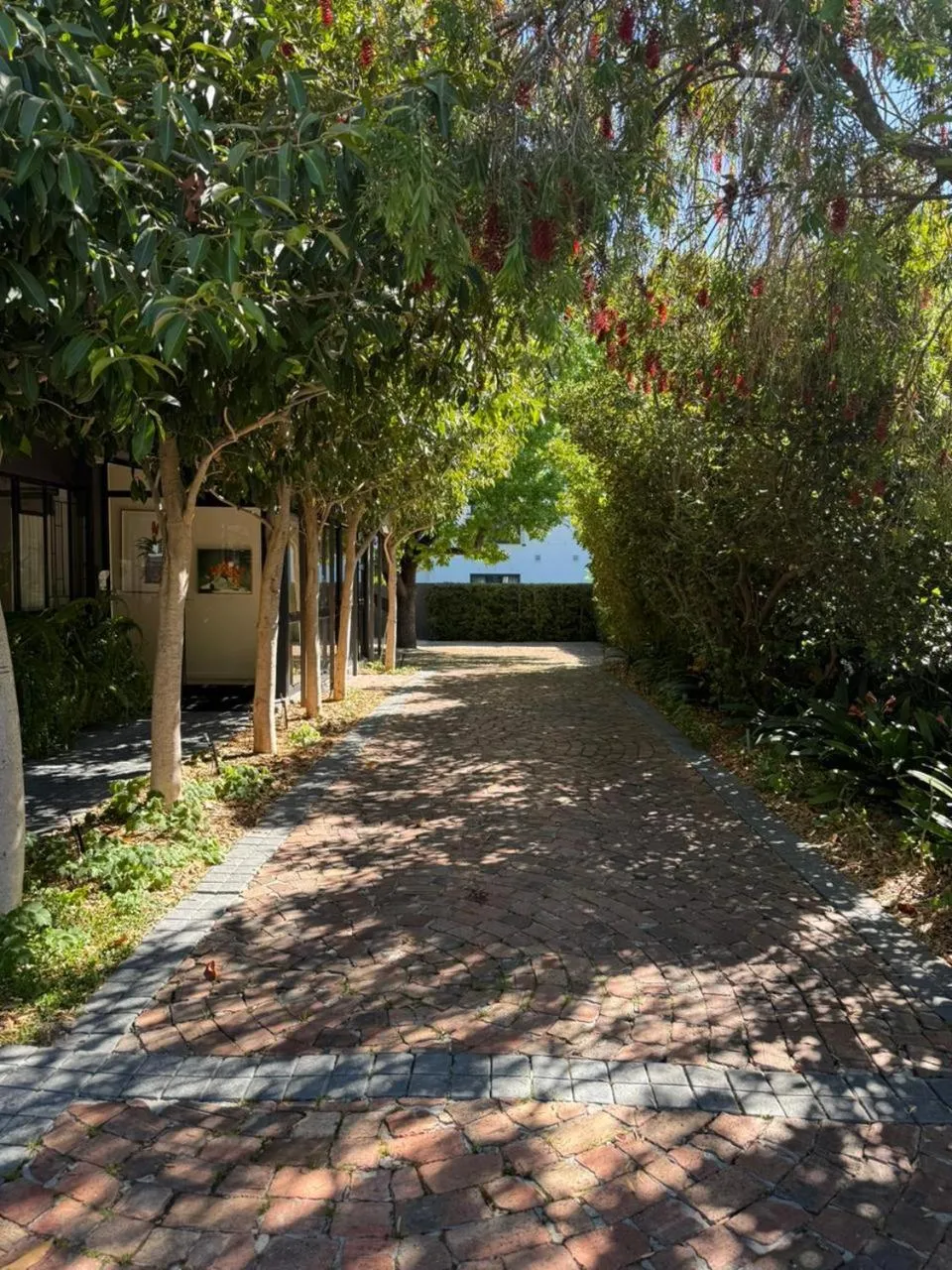 Garden in Twice Central Guest House