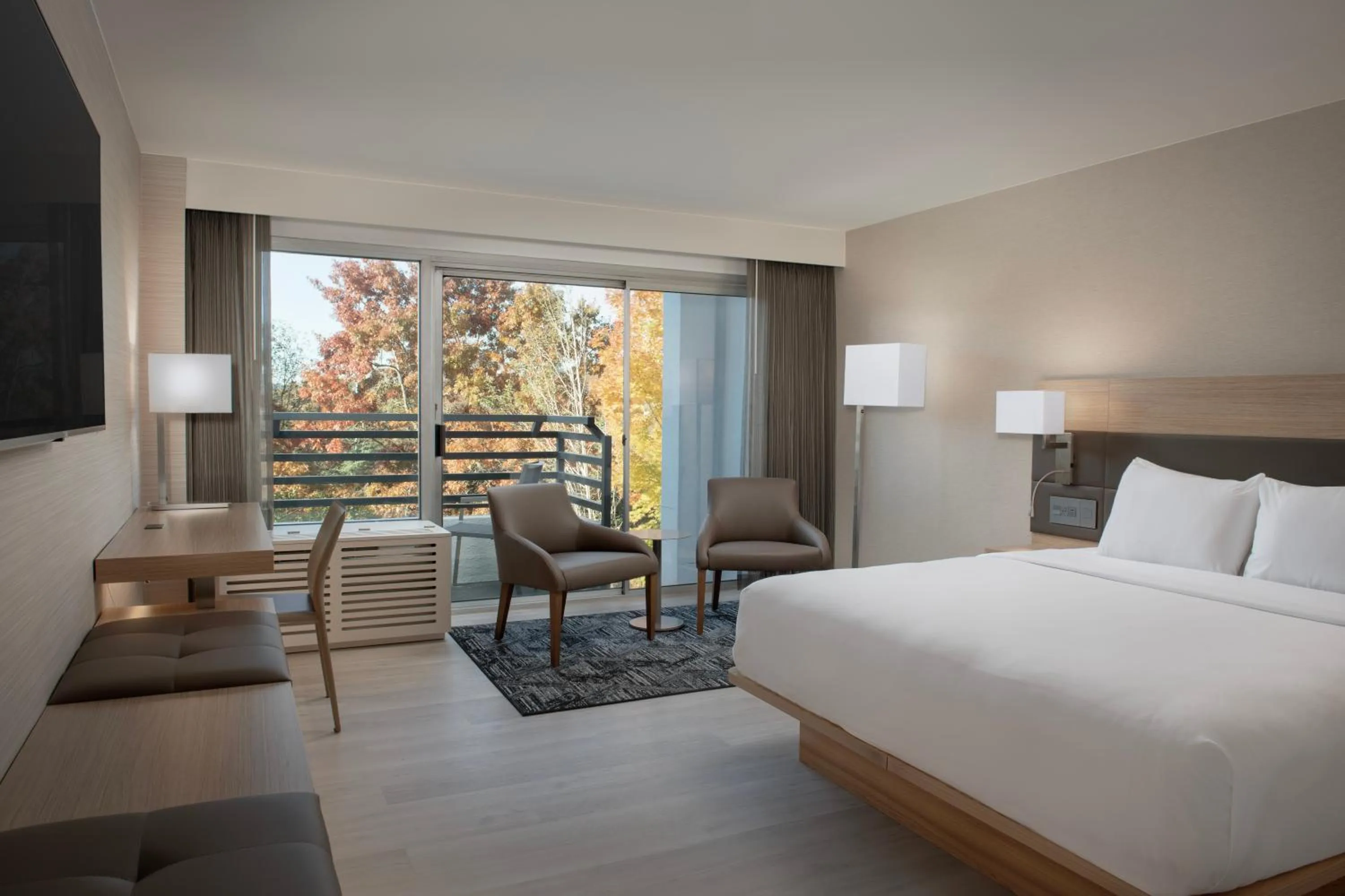 Standard Room in AC Hotel by Marriott Portland Lake Oswego