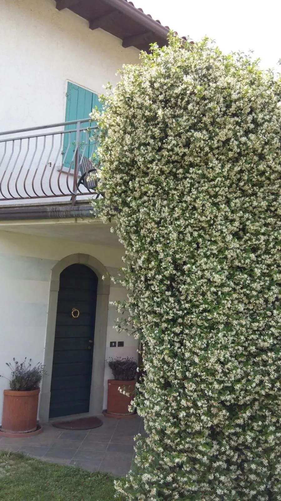 Property building in Il Gelsomino