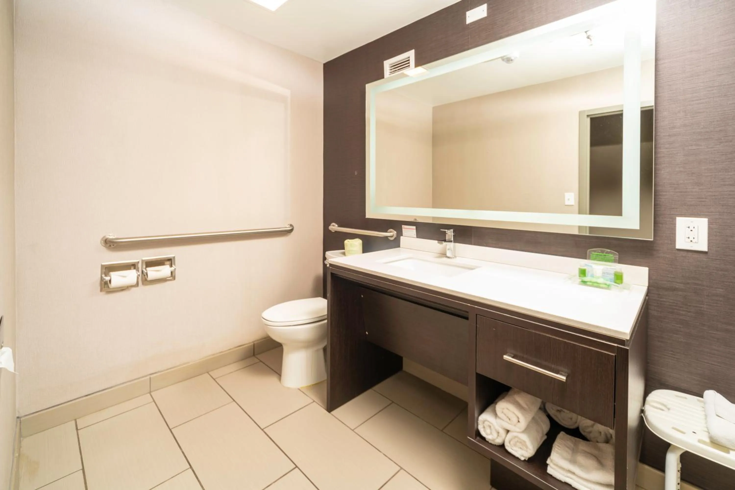 Bathroom in Holiday Inn Louisville East - Hurstbourne by IHG
