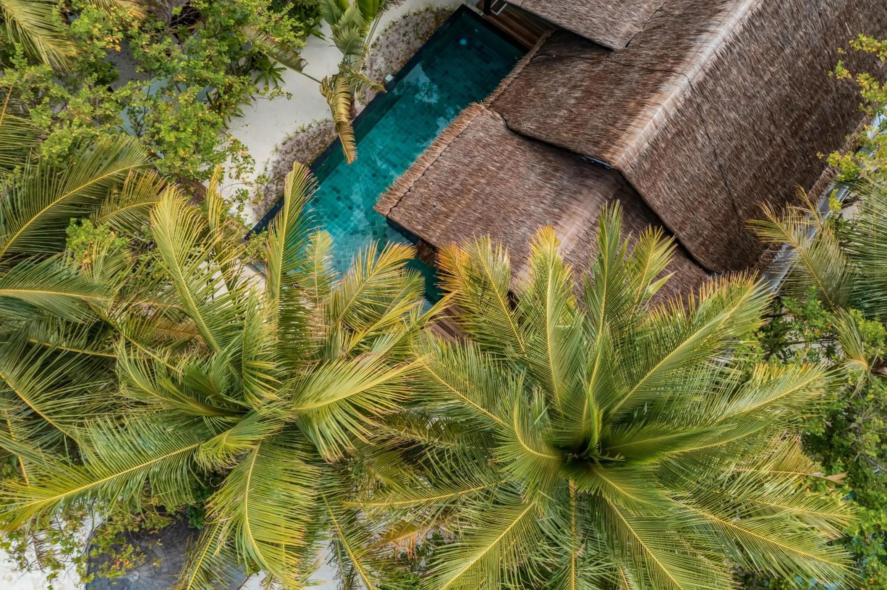 Bird's eye view in OZEN LIFE MAADHOO - Luxury All Inclusive with Free Transfers