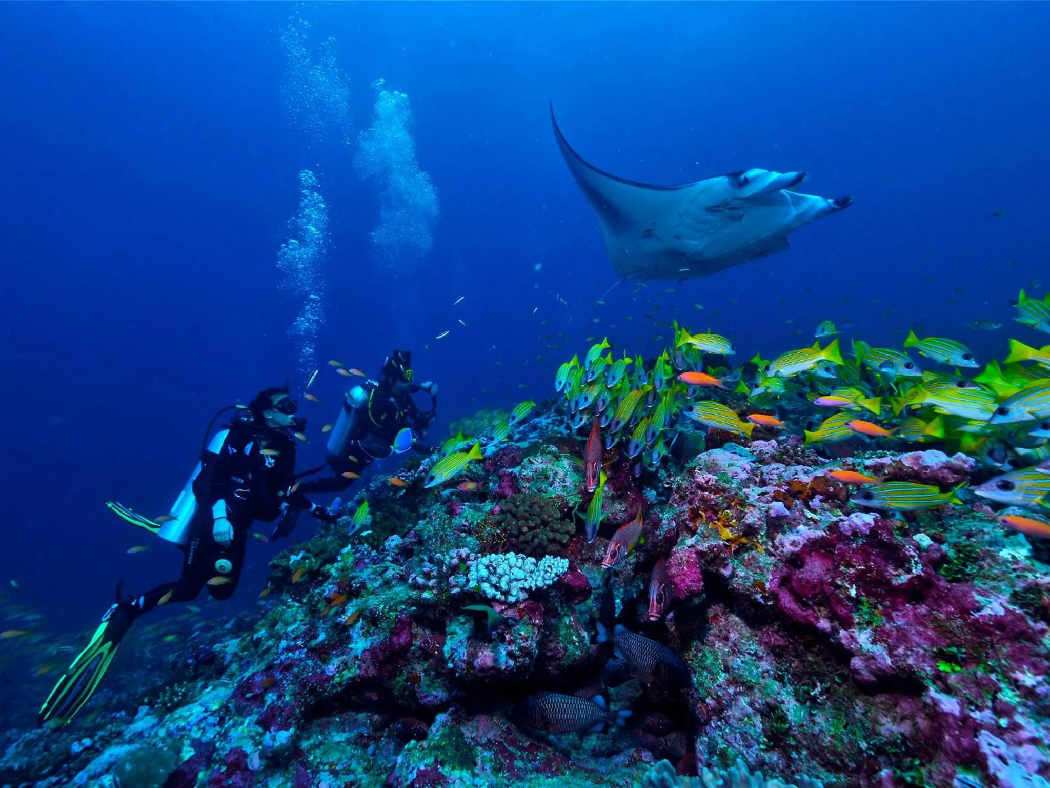 Diving in OZEN LIFE MAADHOO - Luxury All Inclusive with Free Transfers