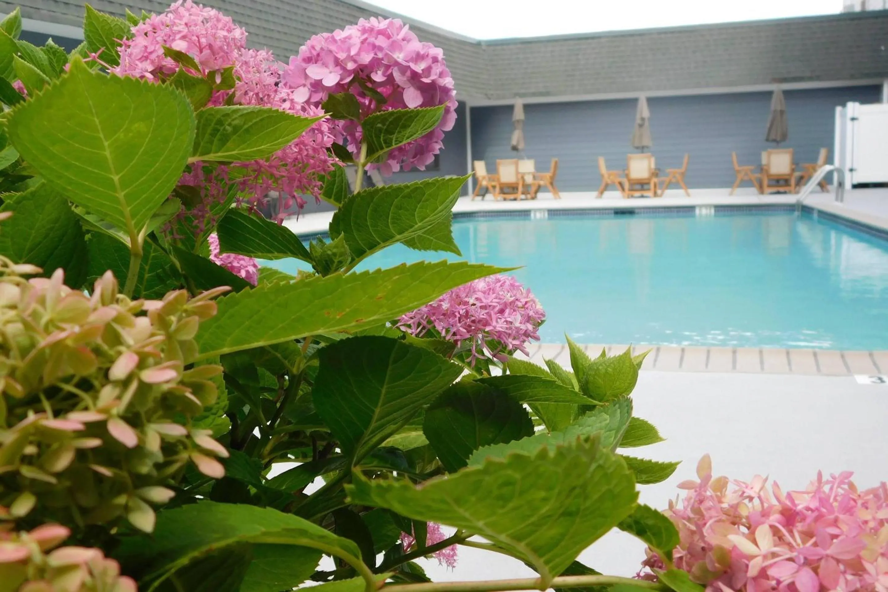 Swimming pool in Comfort Inn & Suites Glen Mills - West Chester