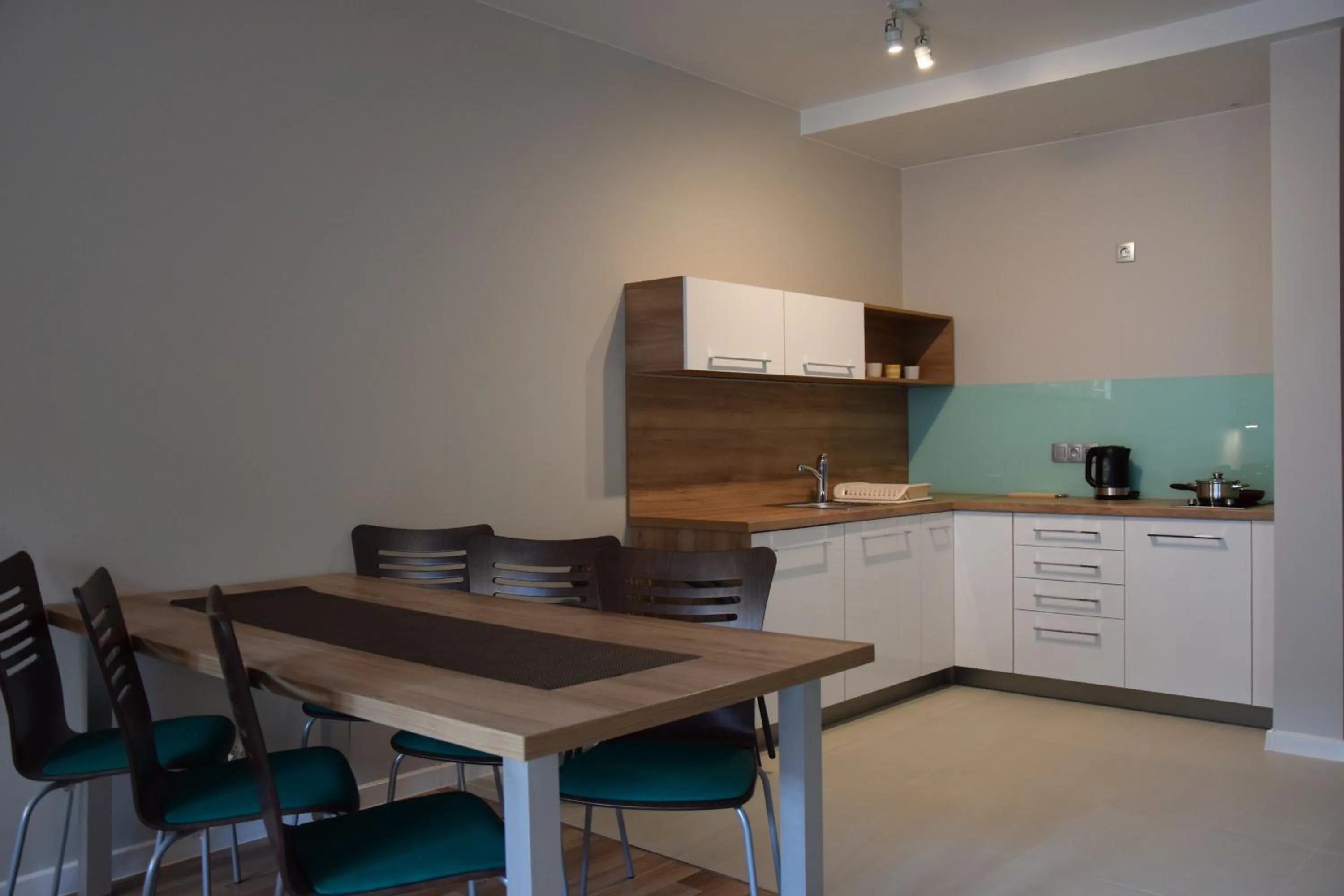 Kitchen or kitchenette in Rosa Apartamenty