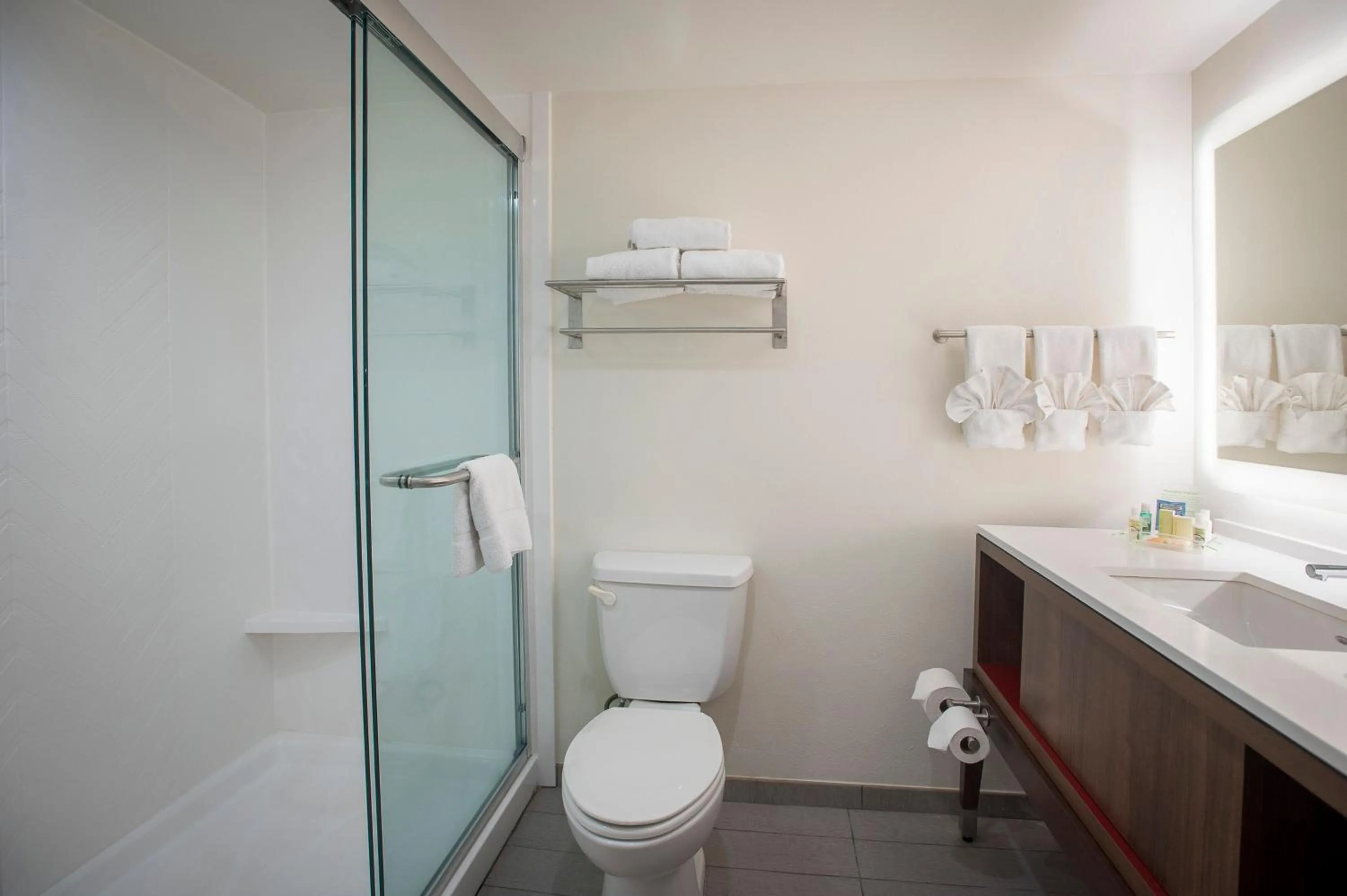 Bathroom in Holiday Inn Pensacola - University Area by IHG