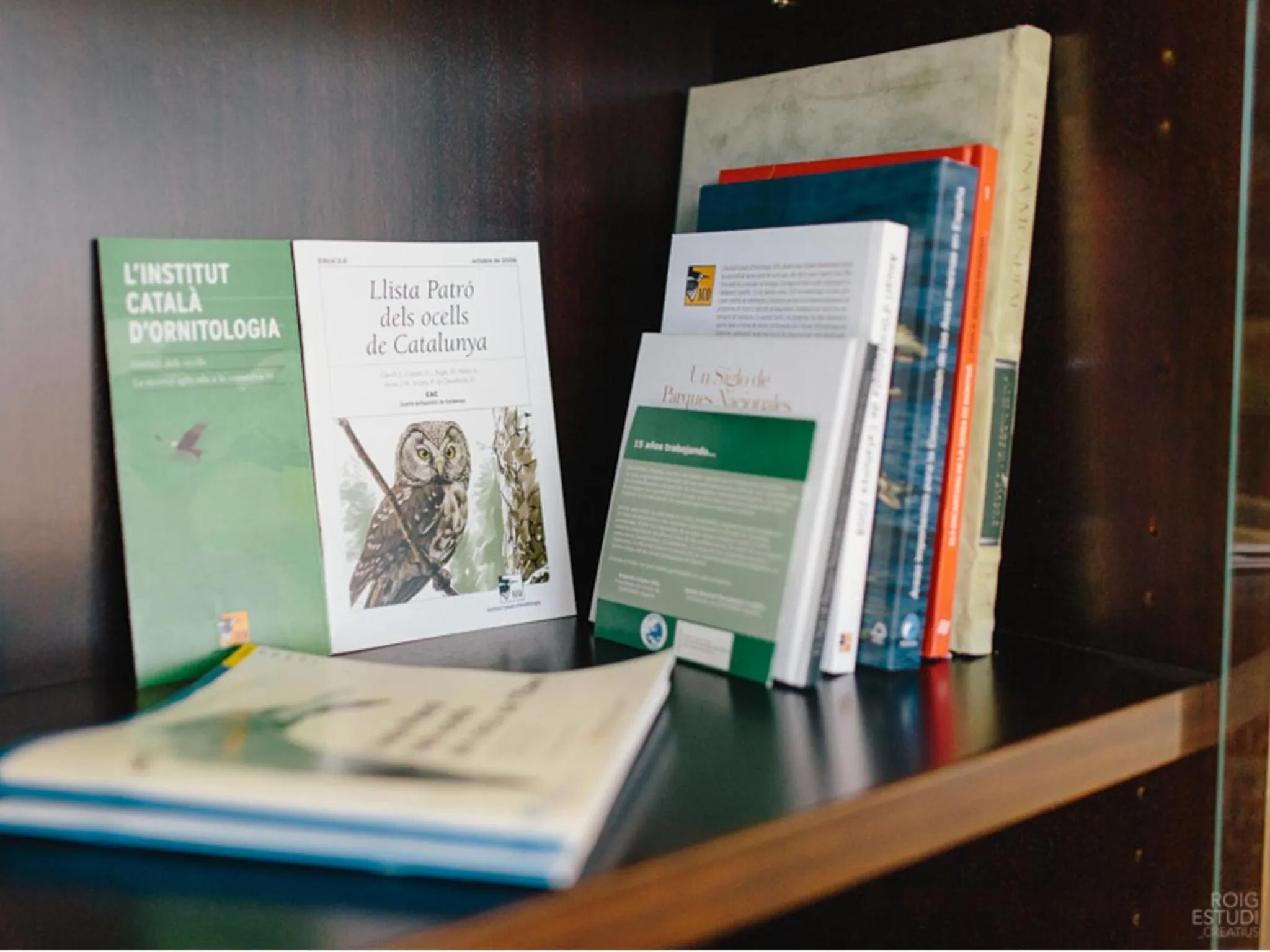 Library in Hotel L'Algadir del Delta