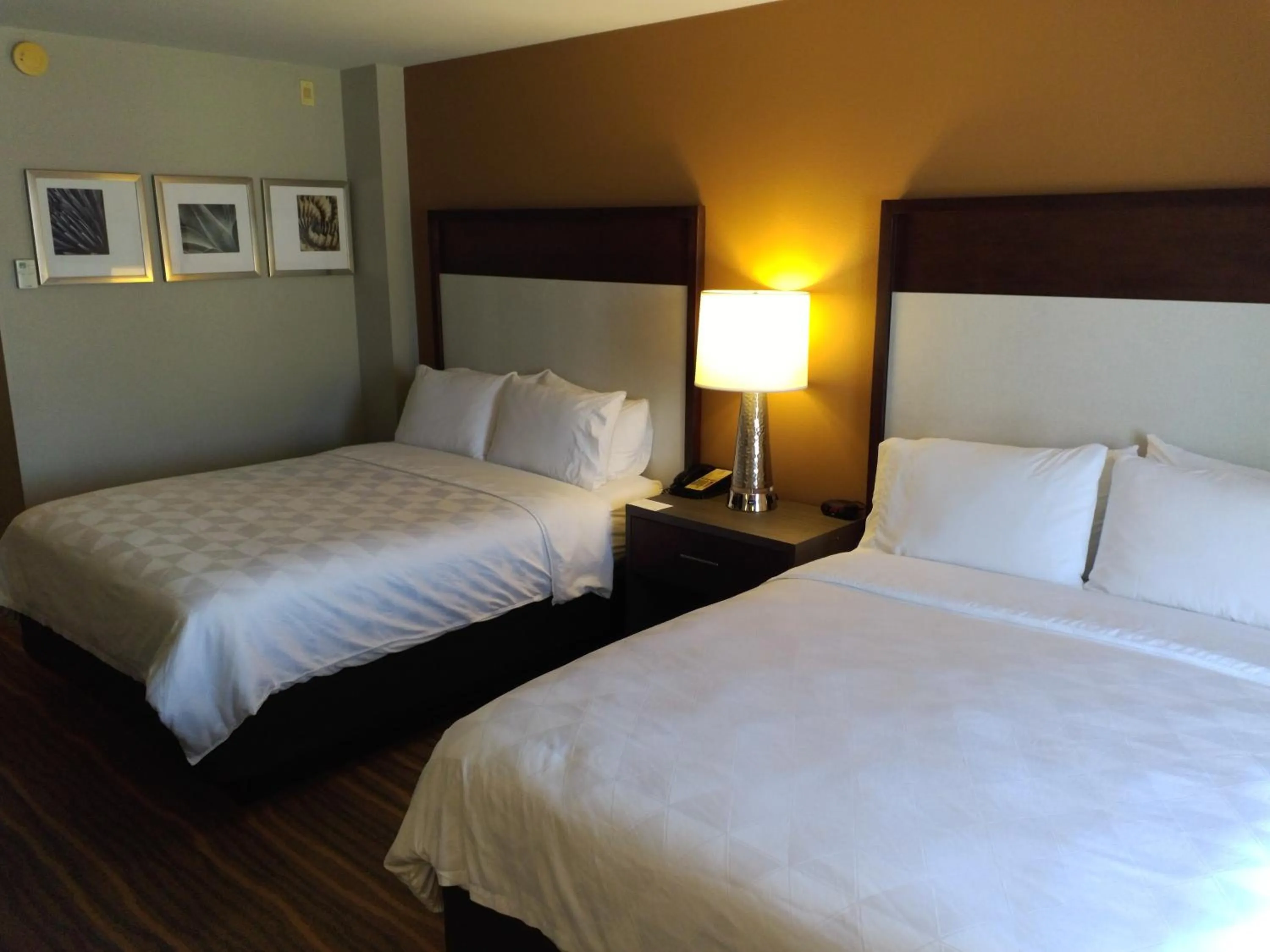 Bedroom, Bed in Holiday Inn & Suites Albuquerque-North I-25 by IHG