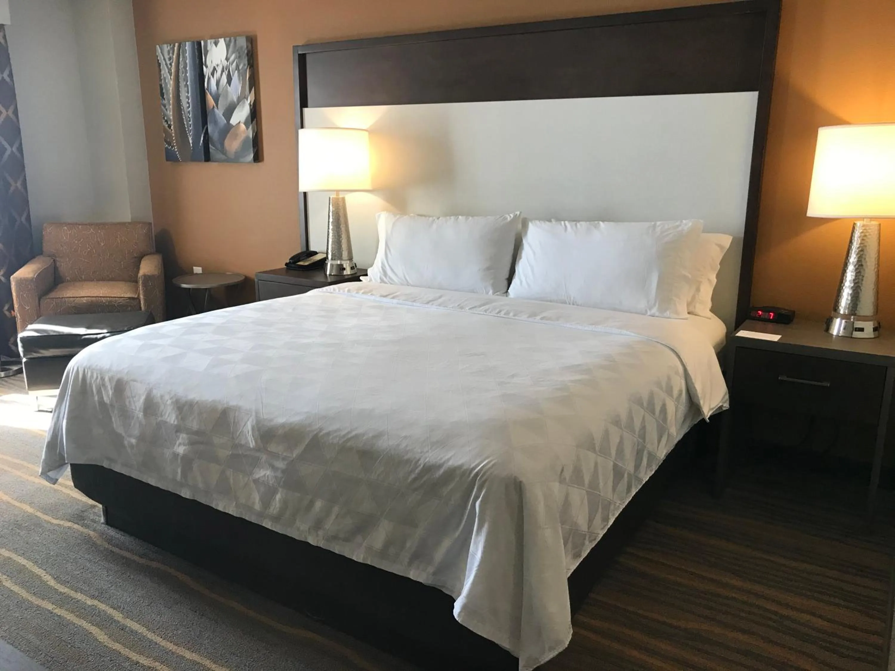 Bedroom, Bed in Holiday Inn & Suites Albuquerque-North I-25 by IHG