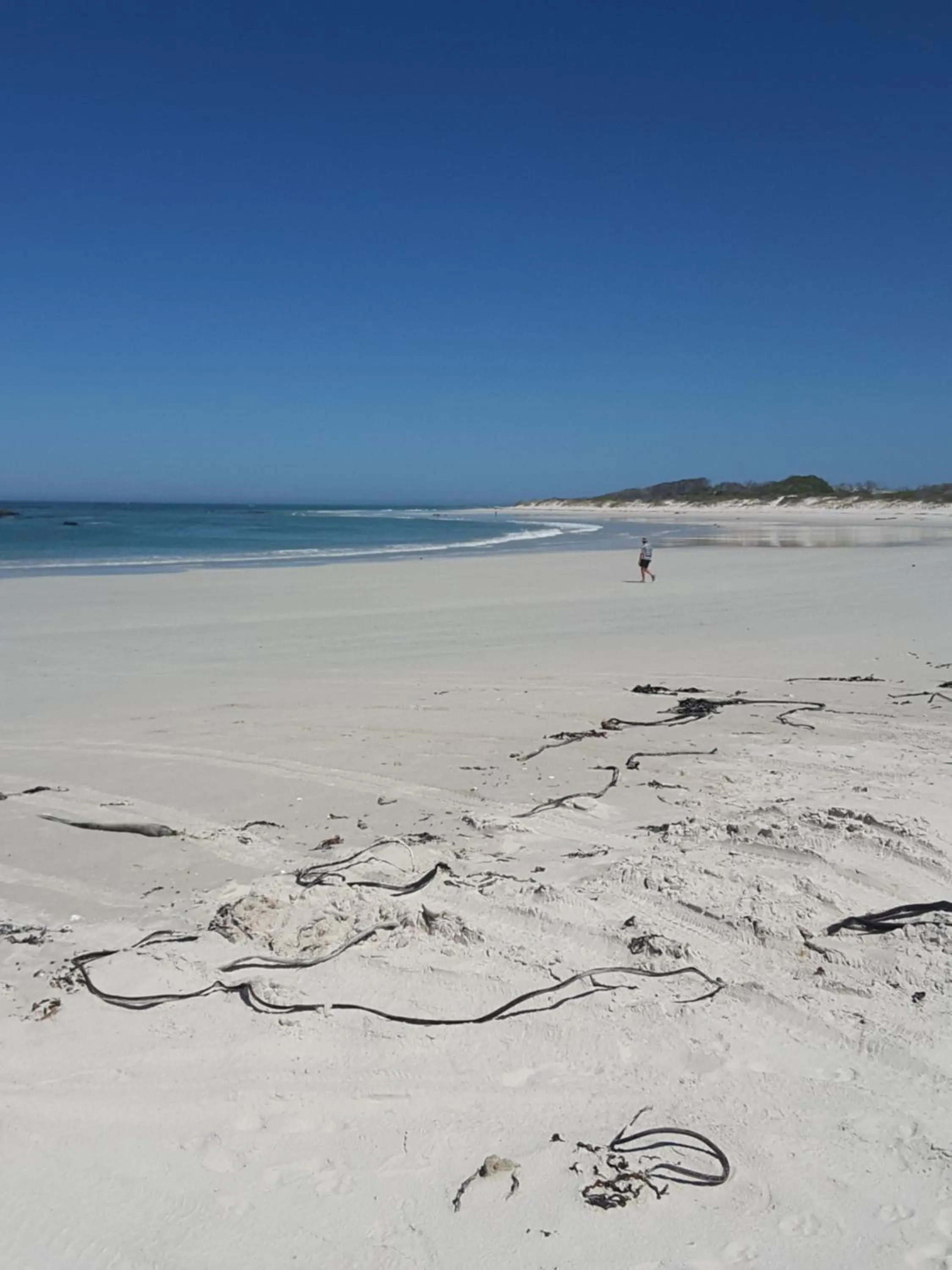 Beach in The-Ark B&B