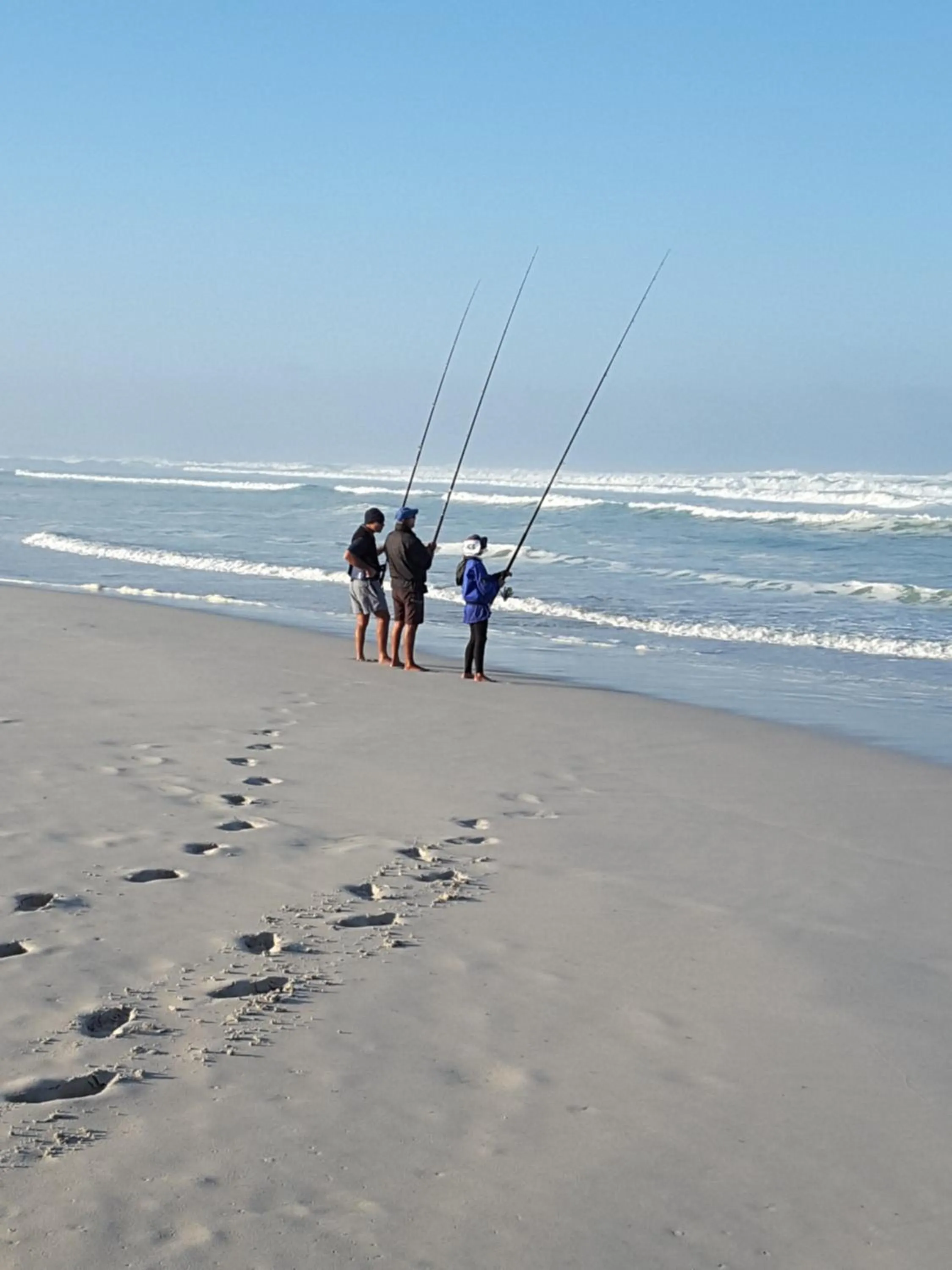 Activities in The-Ark B&B