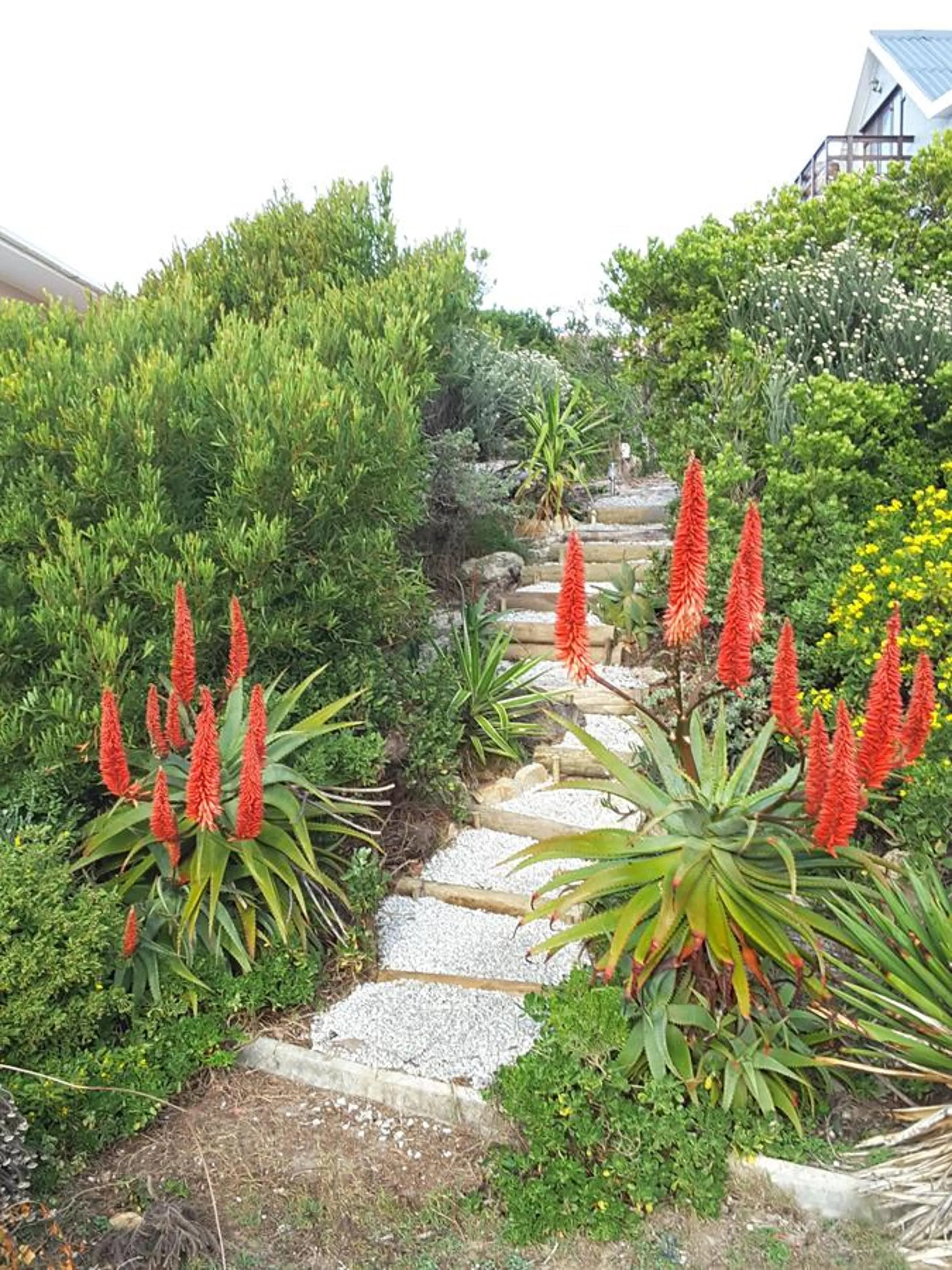 Garden in The-Ark B&B