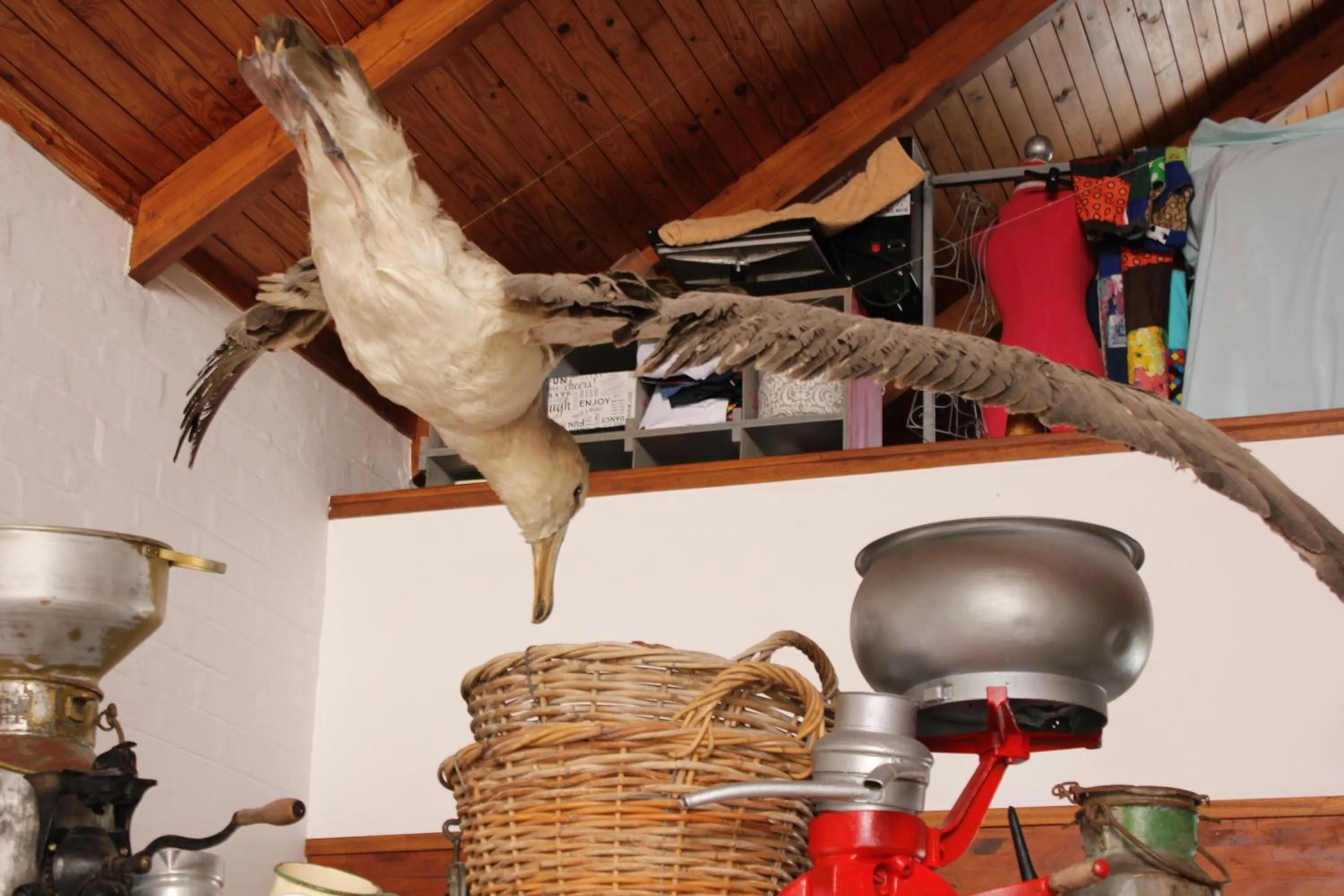 Property building in The-Ark B&B