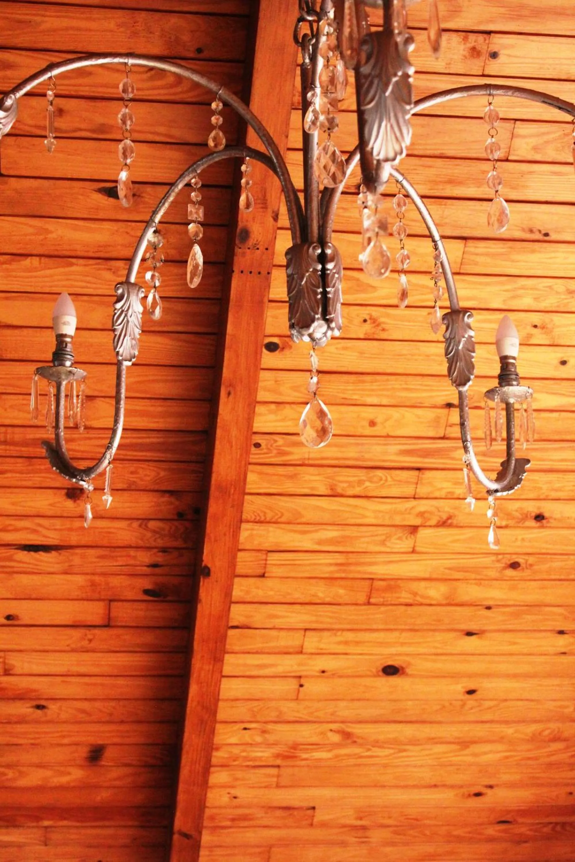 Property building in The-Ark B&B