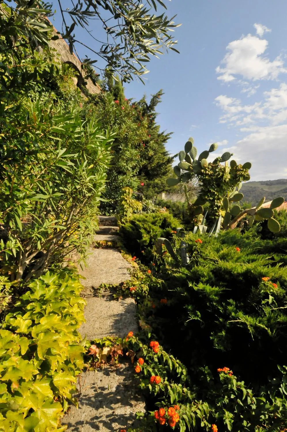 Area and facilities in Hotel Méditerranée