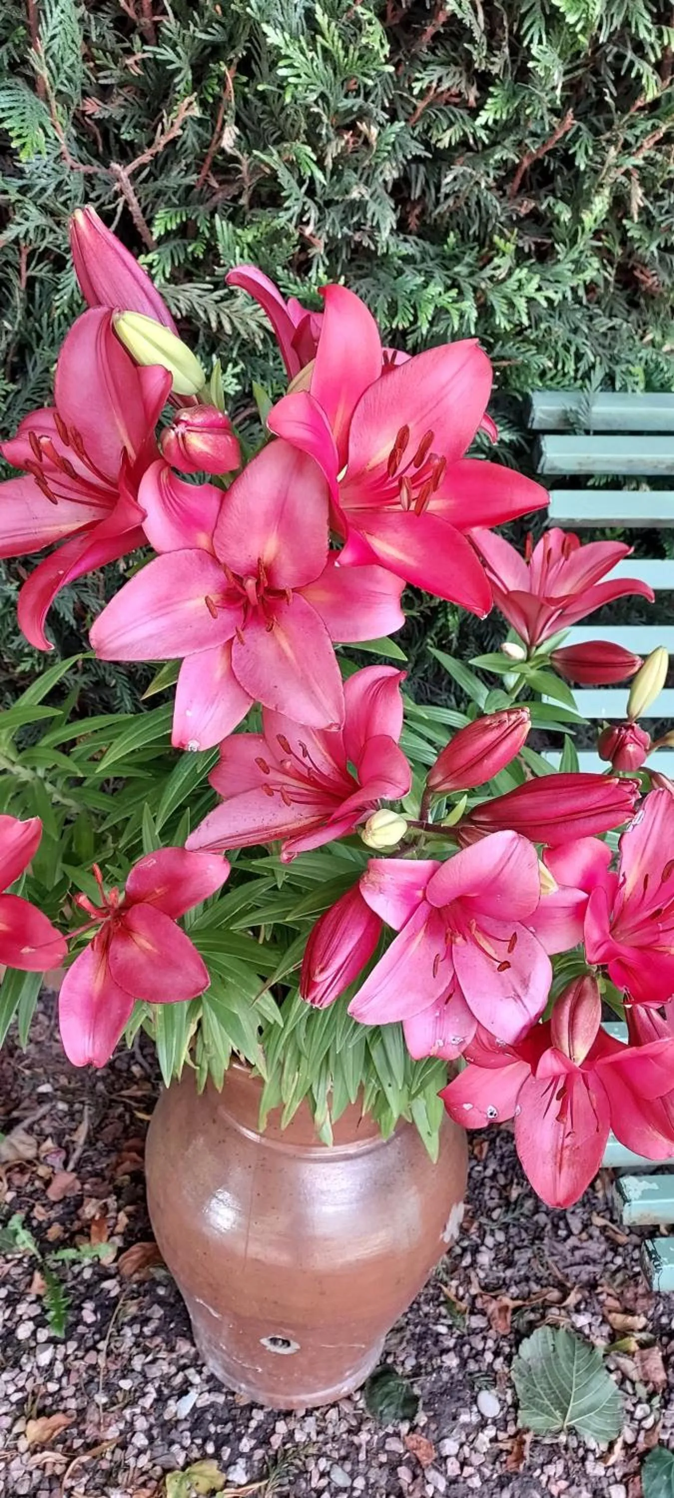 Aerotel Versailles Saint Cyr - L'étape du Silence