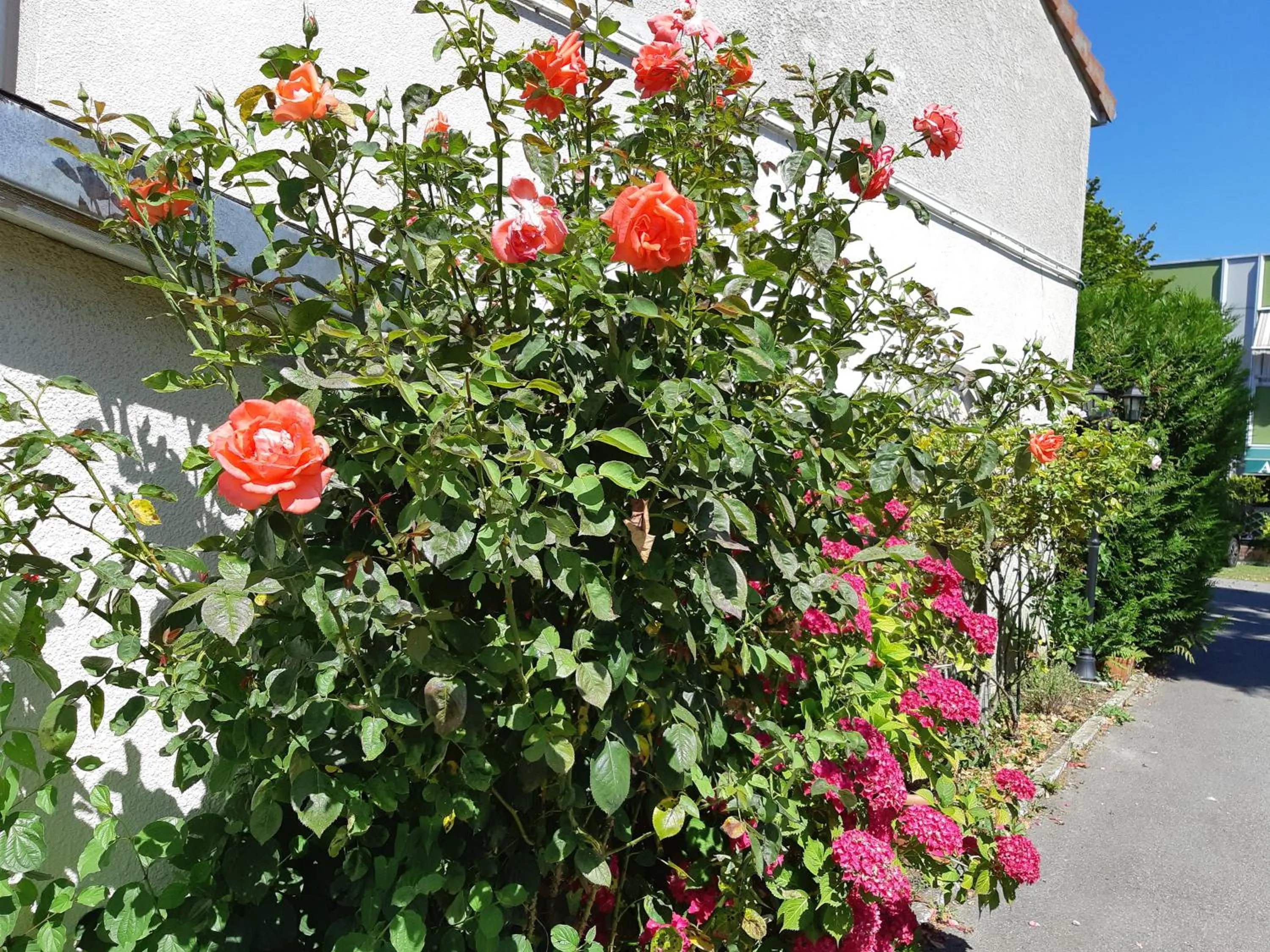 Aerotel Versailles Saint Cyr - L'étape du Silence