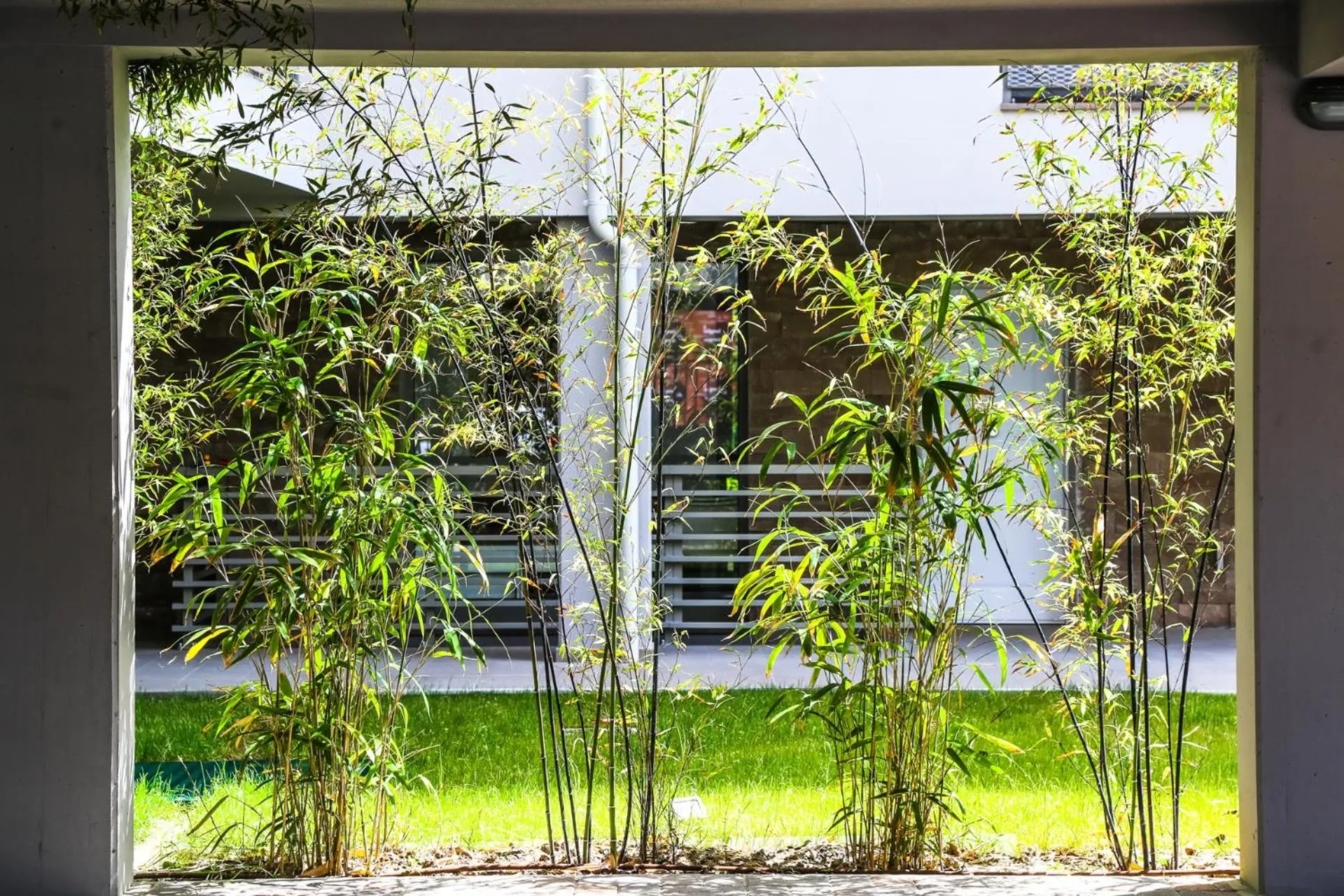 Day in B&B WarmUp Grosseto - Parcheggio incluso nella corte interna