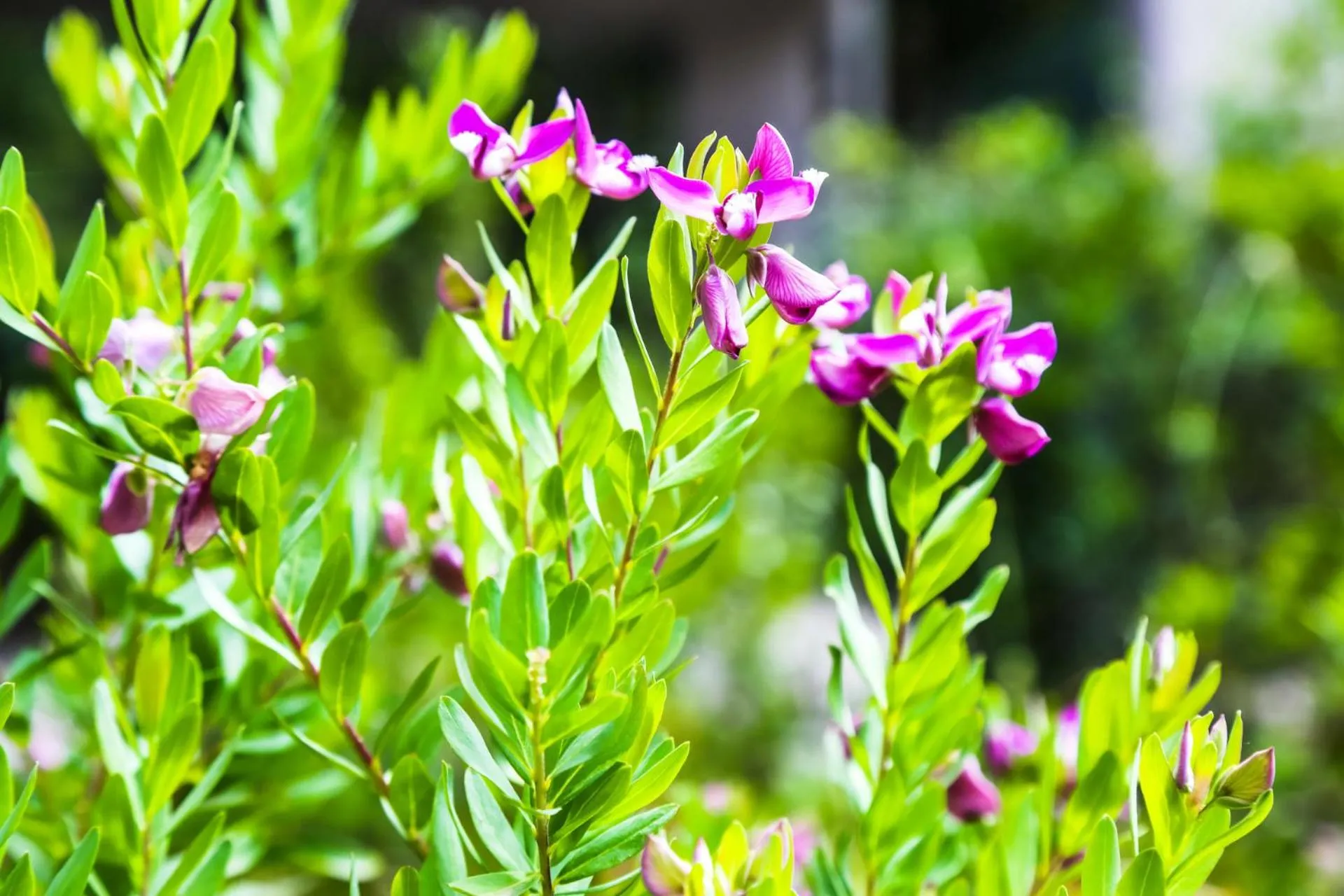 Other in B&B WarmUp Grosseto - Parcheggio incluso nella corte interna